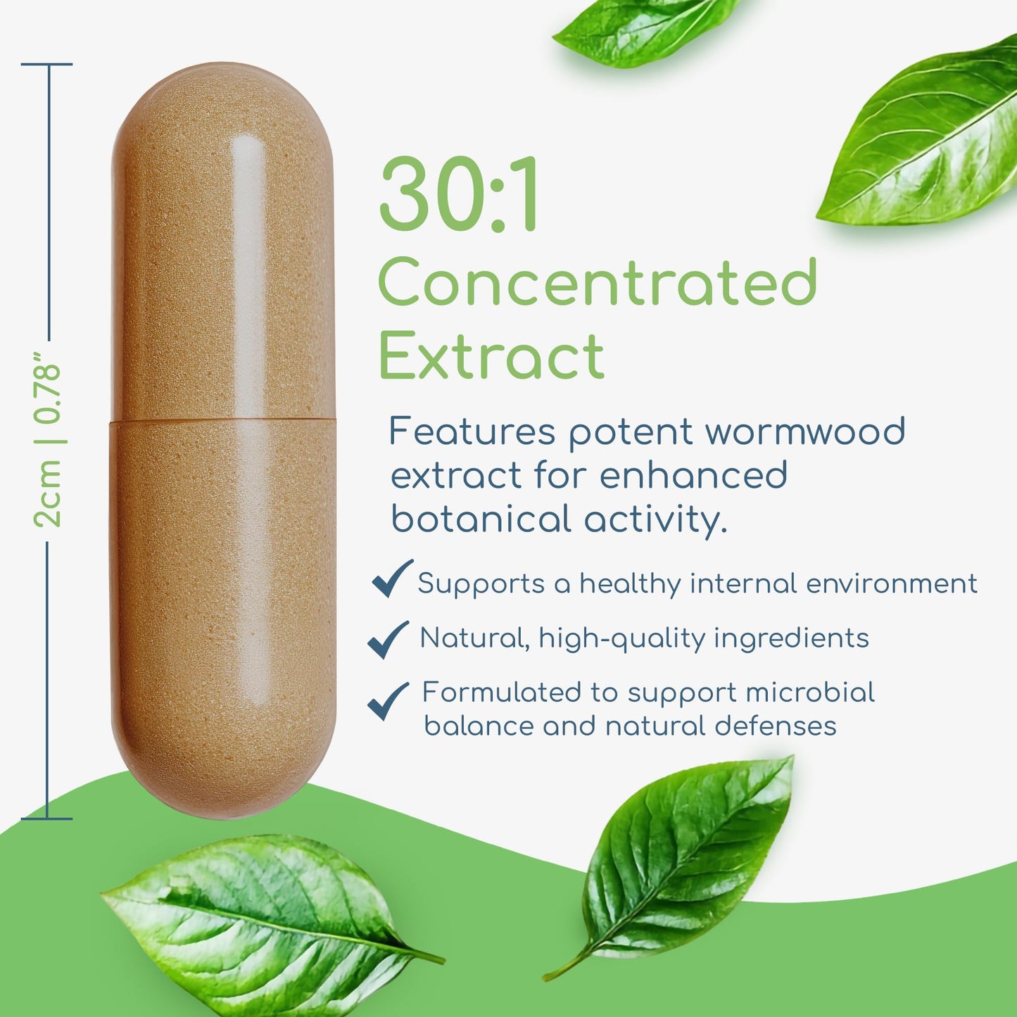 Return Healthy Artemisia Trinity Capsules 90