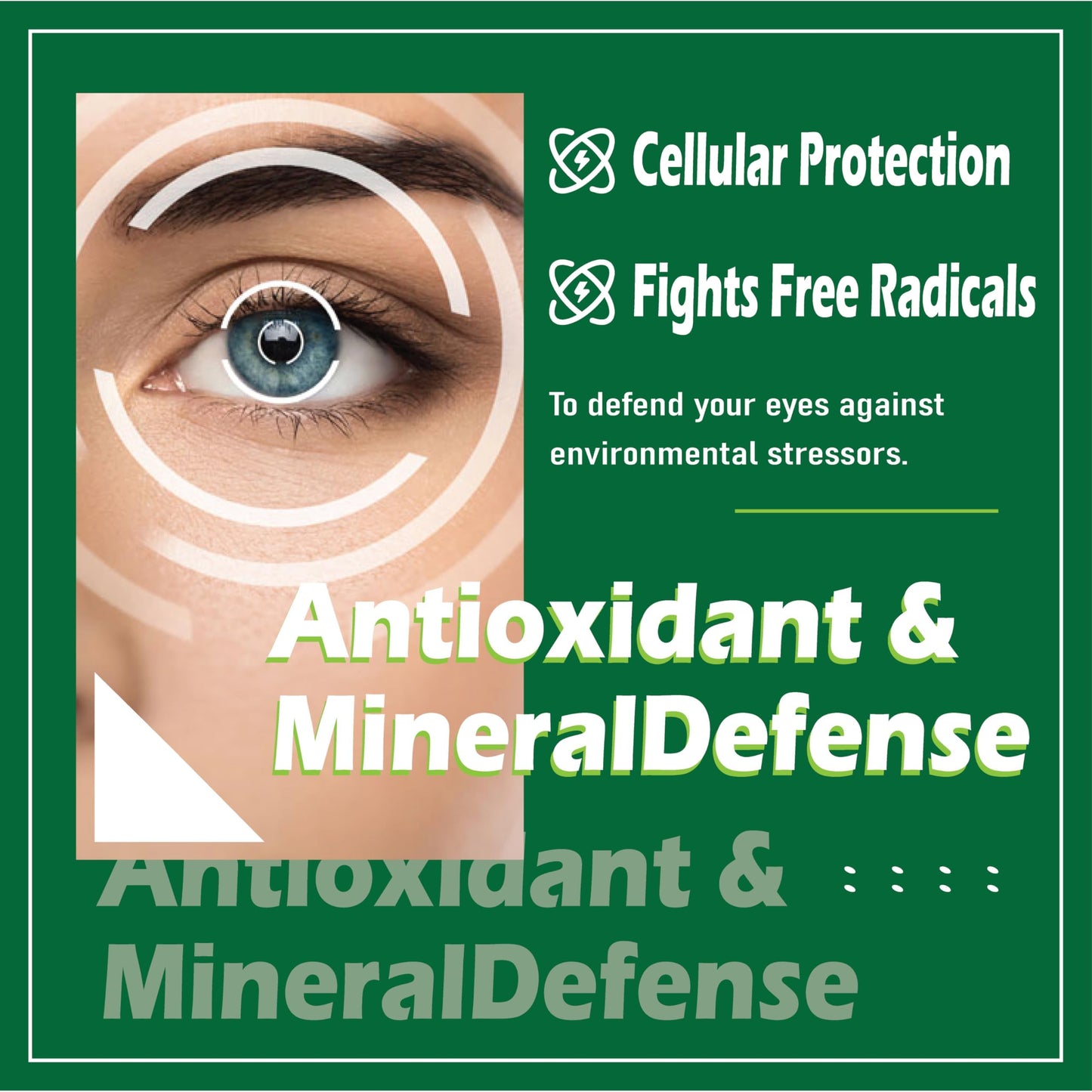 PressurePal Evervision 14 in 1 Advanced Eye Formula Eye Vitamin and Mineral Supplement 60 Capsules