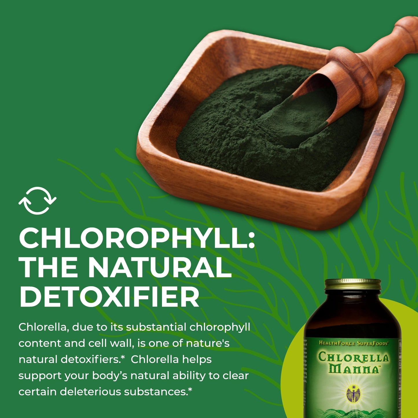 HealthForce SuperFoods Chlorella Manna Powder 350 g