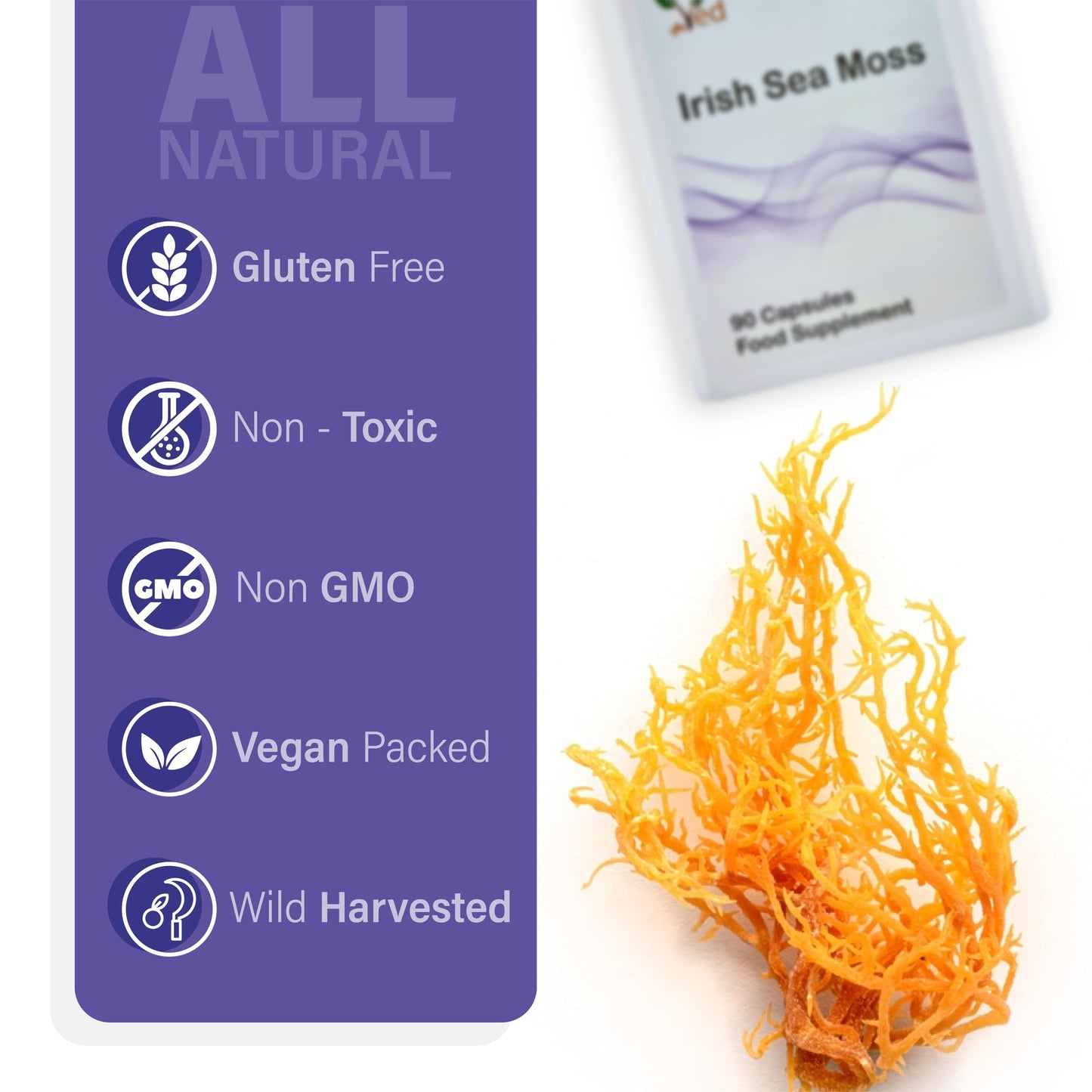 Ved Organic Irish Sea Moss (Chrondrus crispus) 1200 mg Capsules, 90 Count