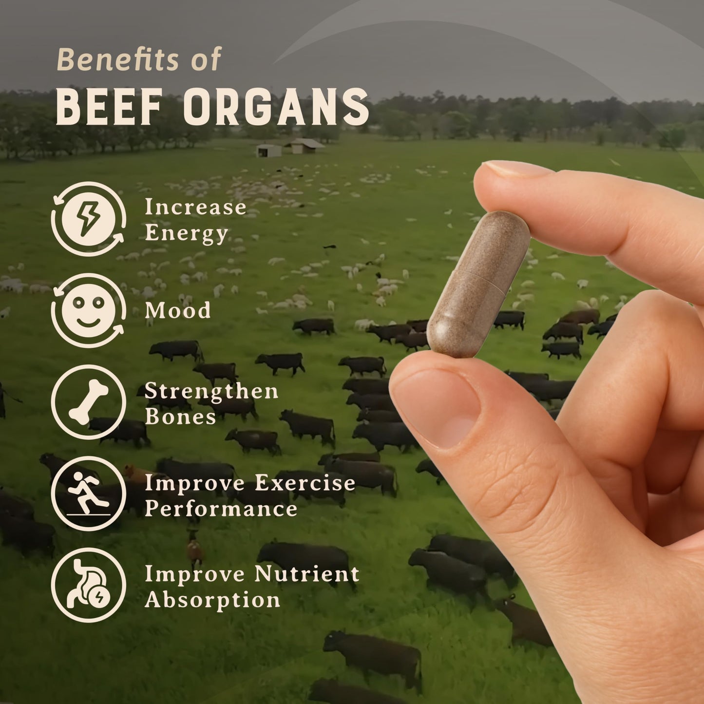 HEART & SOIL Beef Organ Supplement Capsules, 180 Count
