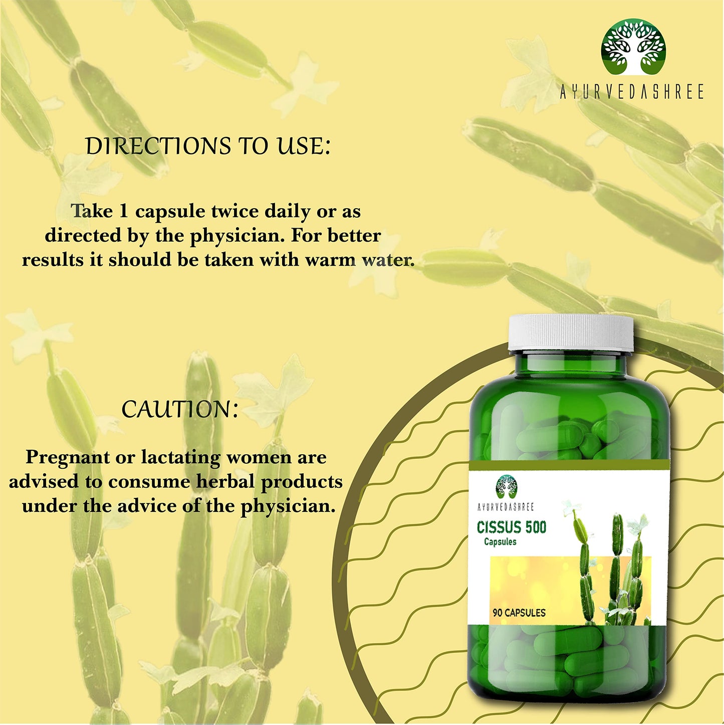 AYURVEDASHREE Asthishrunkala Cissus quadrangularis Powder 1 Count