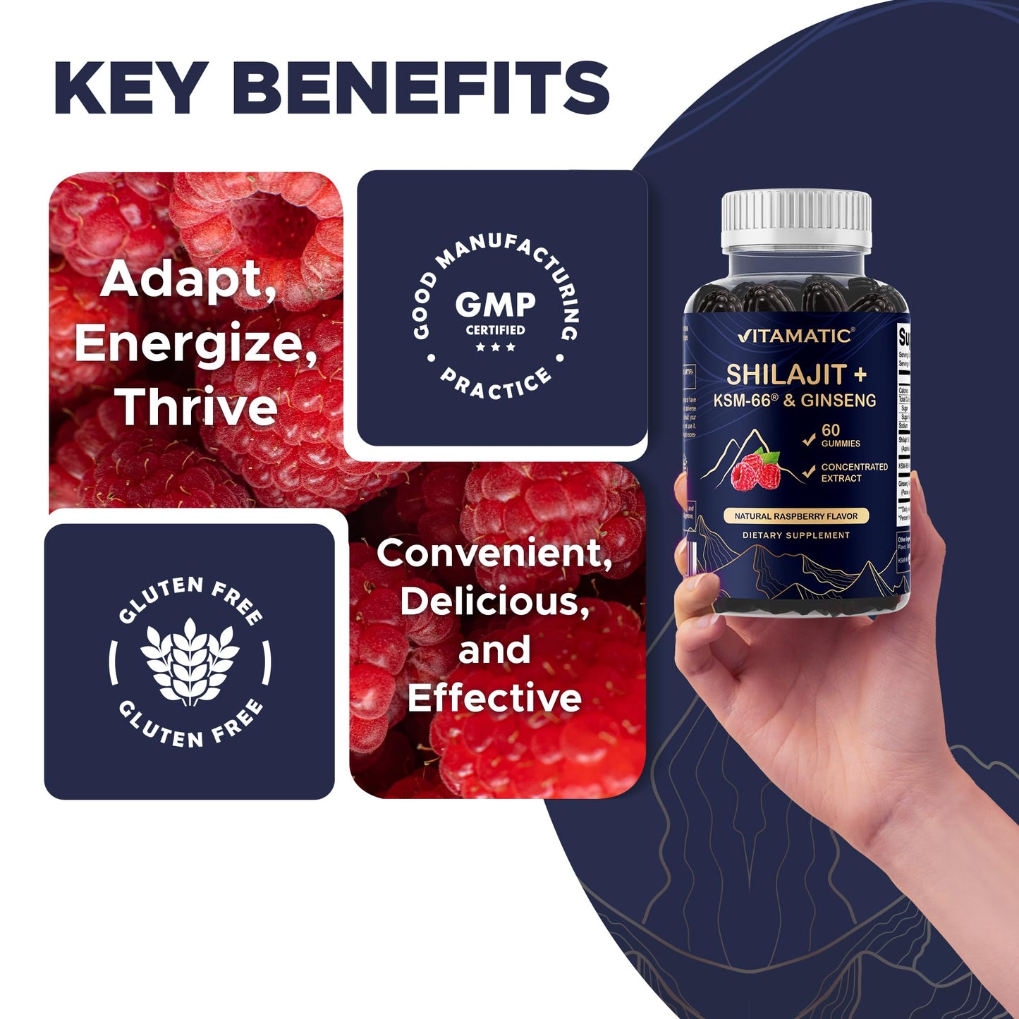 Vitamatic Shilajit with KSM-66 Ashwagandha & Ginseng Extract Gummies, 60 Count