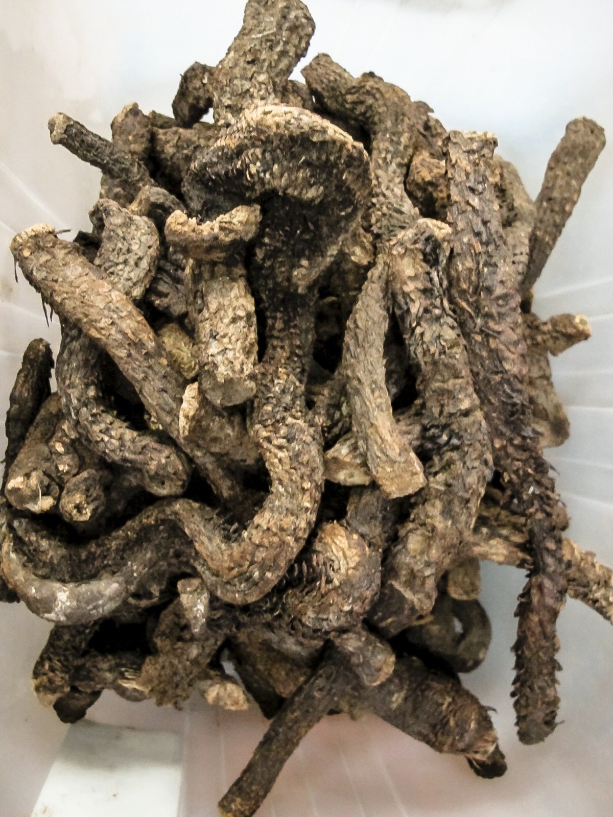 Dragon Herbs Return to Youth Capsules (Huan Shao Dan), 100 Capsules