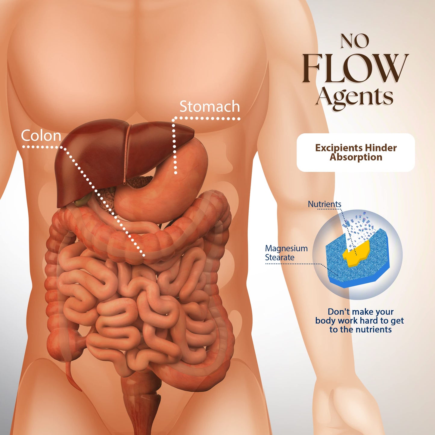 Dr Clark Store Digestive Aid Capsule 5