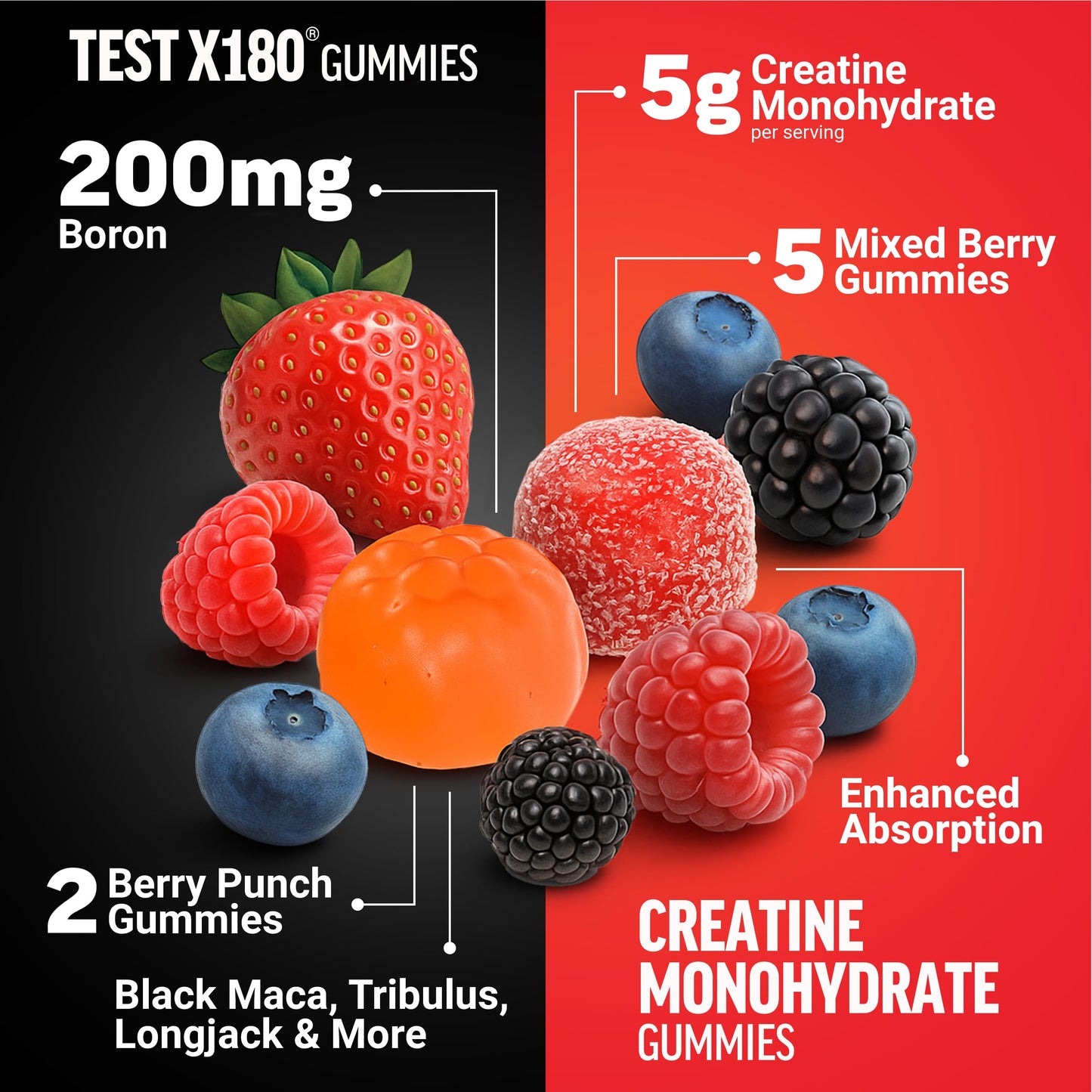 Force Factor Creatine Gummies 210 Gummies
