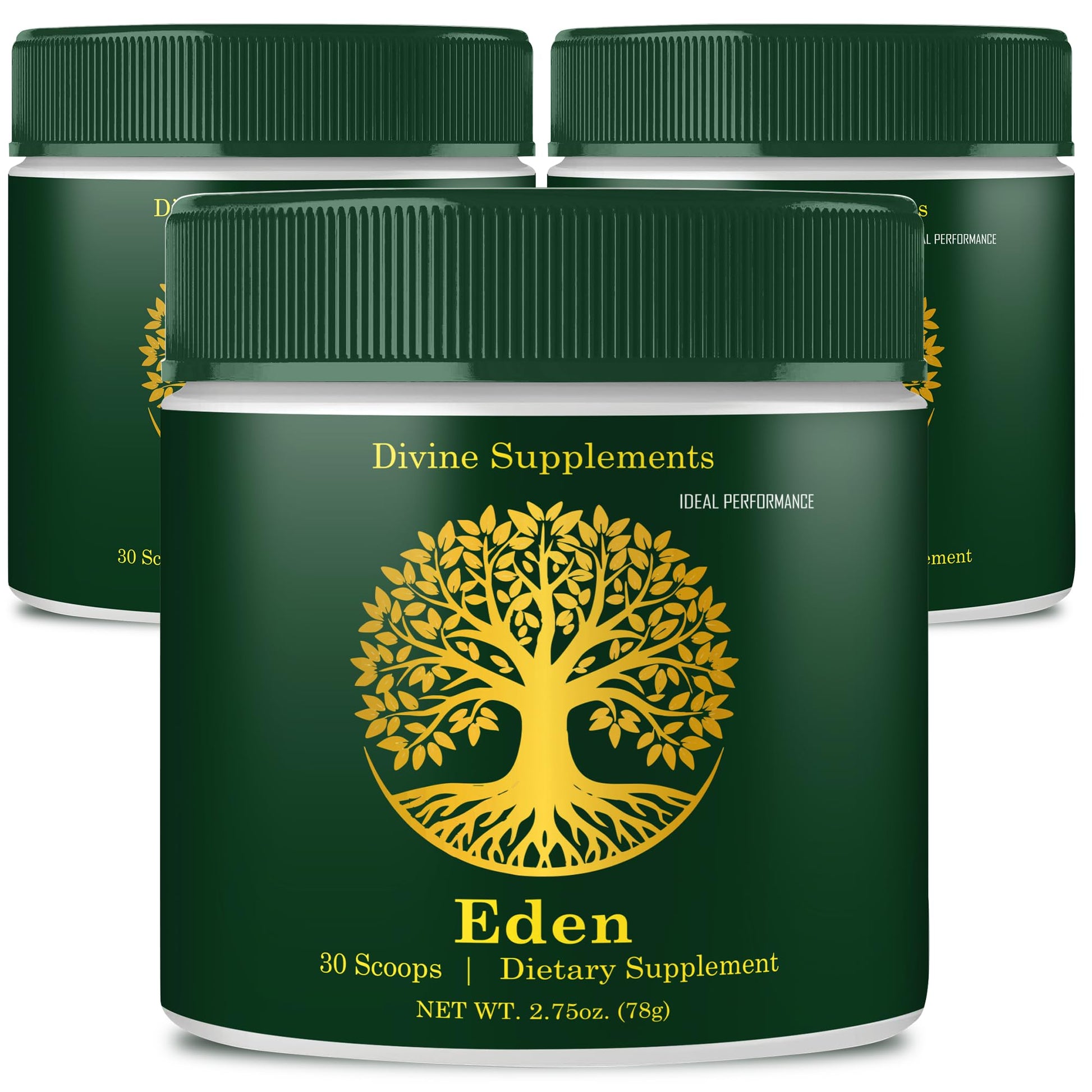 IDEAL PERFORMANCE Eden Energy Supplement Powder 6