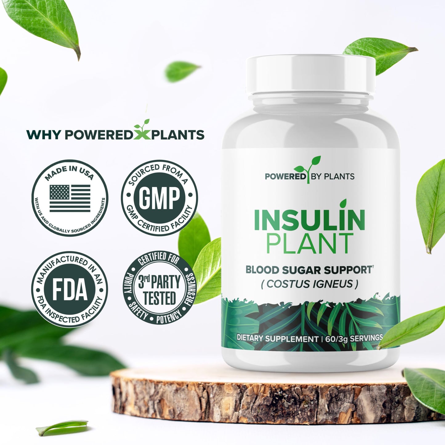 Research Biotech Group Insulin Plant Capsule 240 Capsules