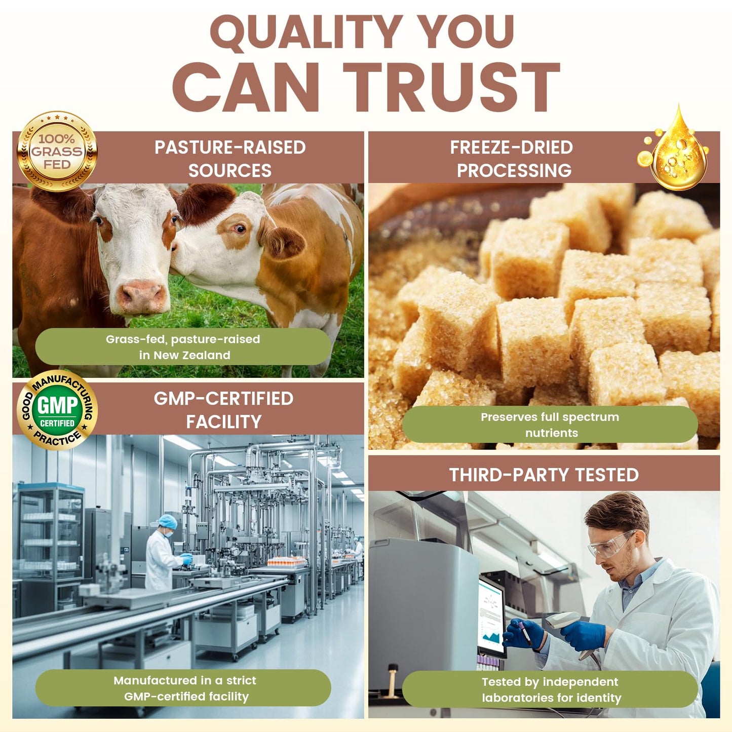 HOLINFRE Beef Liver Capsule 120 Count