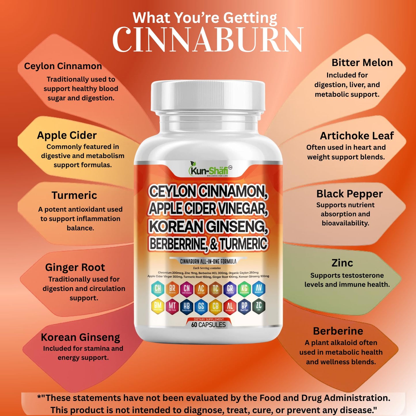 Kun Shafi Ceylon Cinnamon Complex with Berberine Apple Cider Vinegar Plus Bitter Melon Gymnema Ginseng Chromium & Turmeric Milk Thistle Capsules, 60 Count