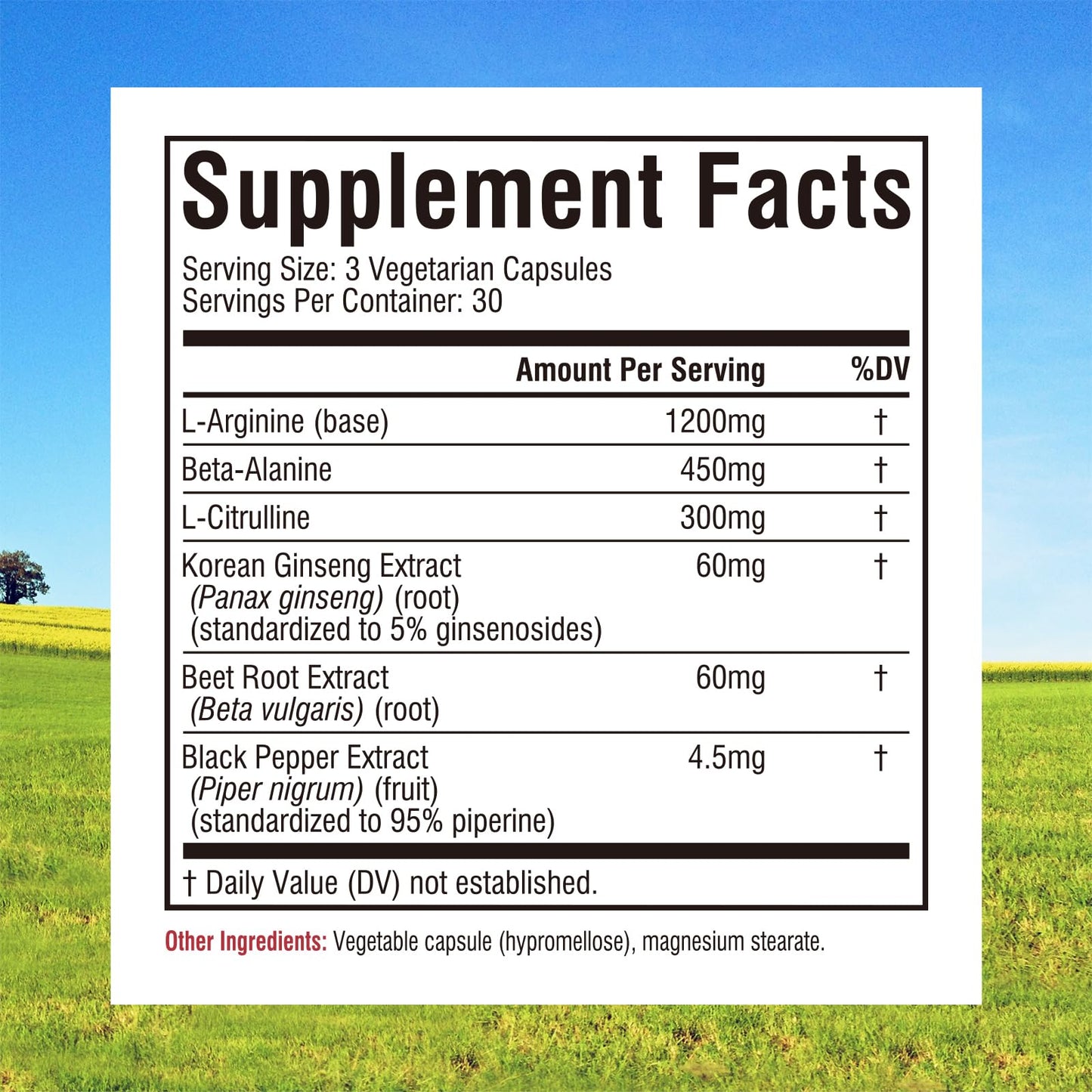 Innate Vitality Nitric Oxide Booster Capsule, 90 Capsules