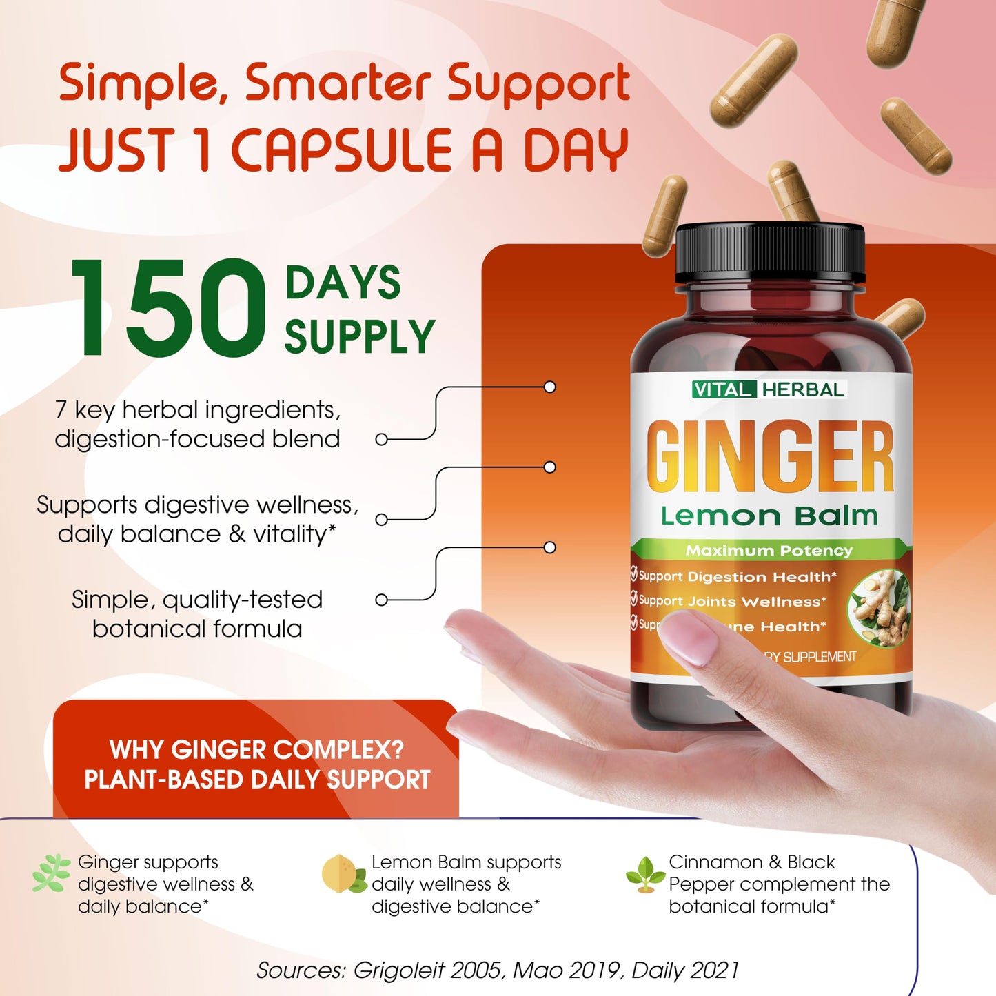 VITAL HERBAL Liposomal Ginger with Lemon Balm, Cinnamon Capsules 150