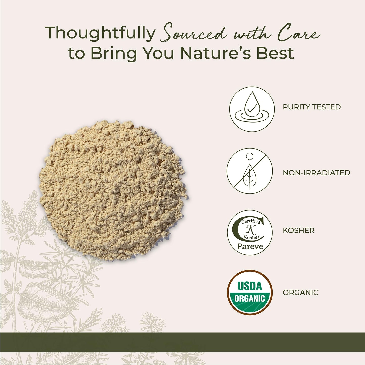 Starwest Botanicals Organic Ginger Root Powder, 16 oz