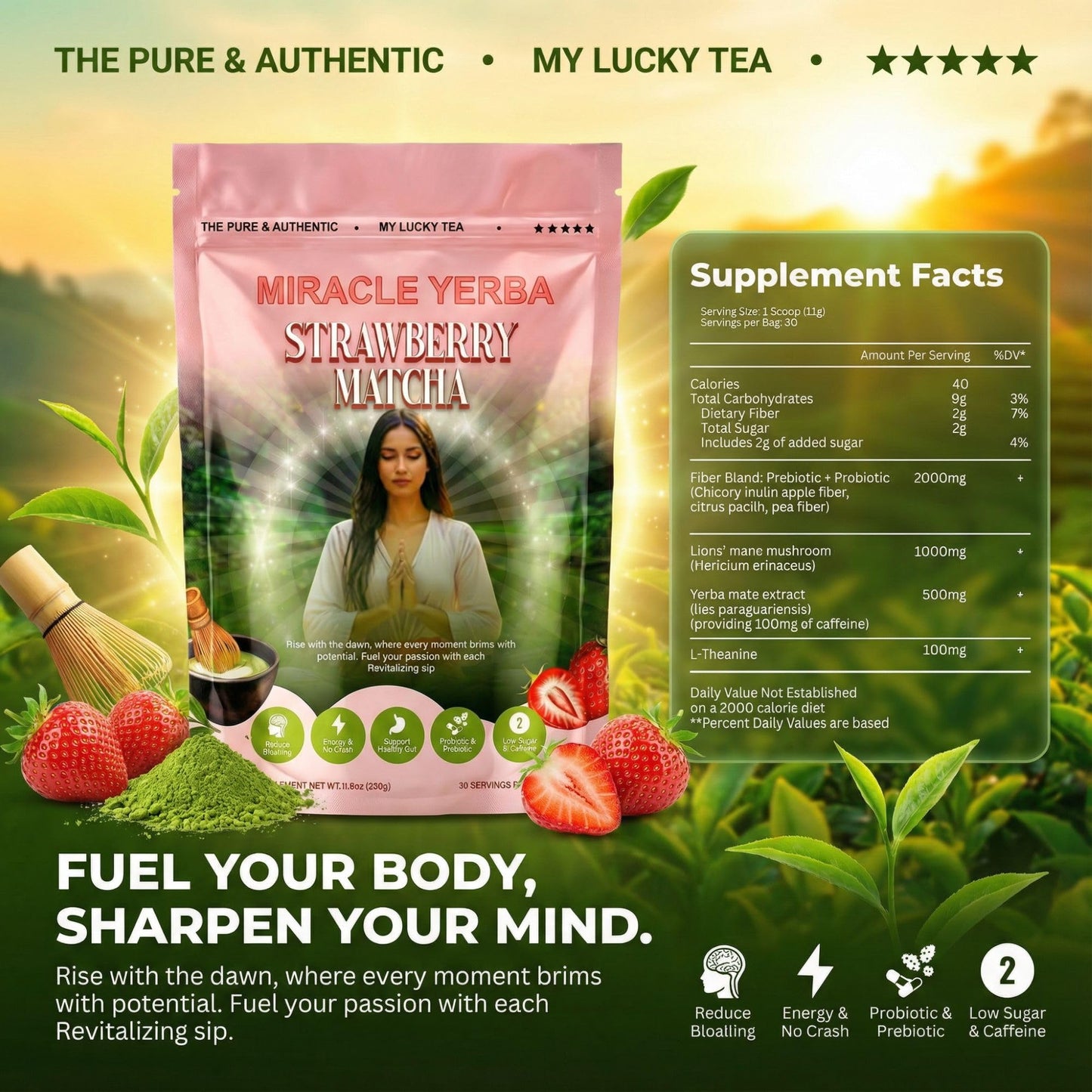 MIRACLE YERBA Yerba Mate Tea Powder, 1 Count
