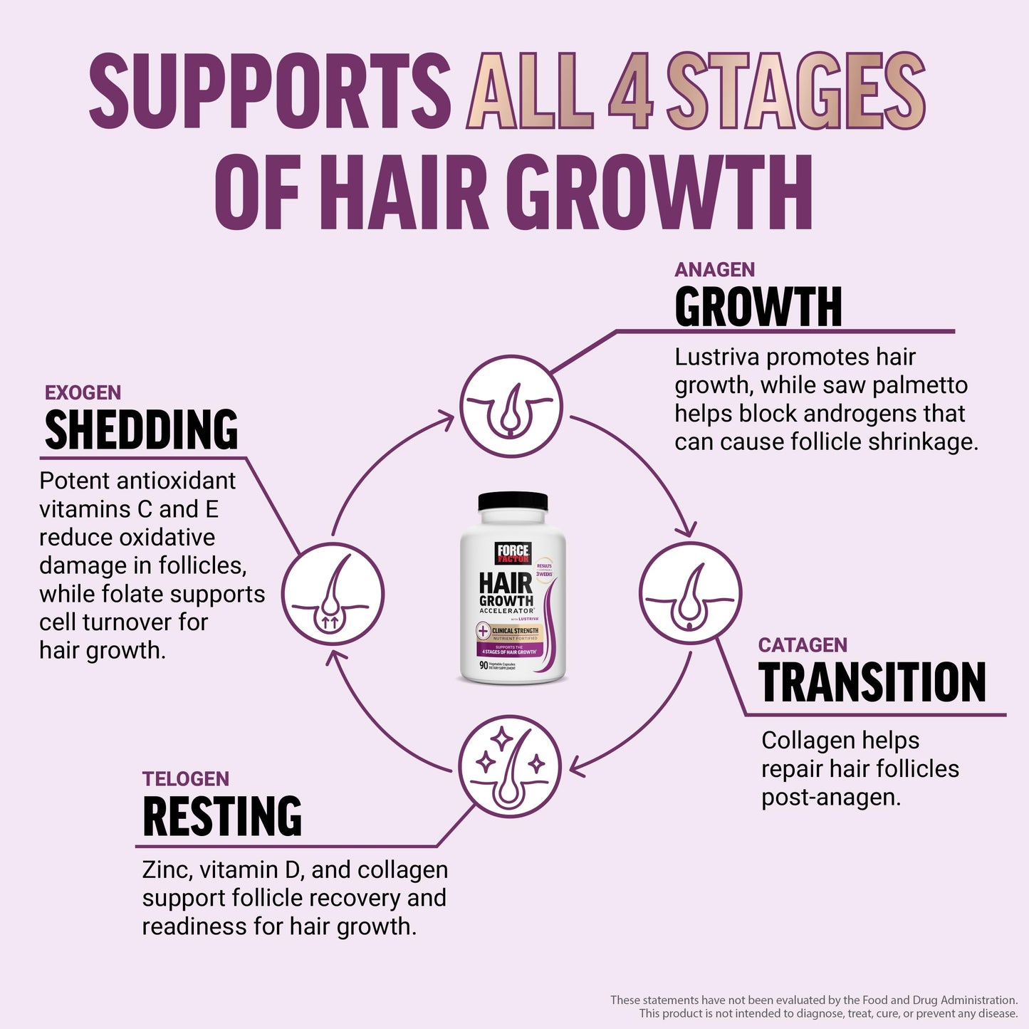 Force Factor Hair Growth Accelerator Multivitamin Capsule, 90 Capsules