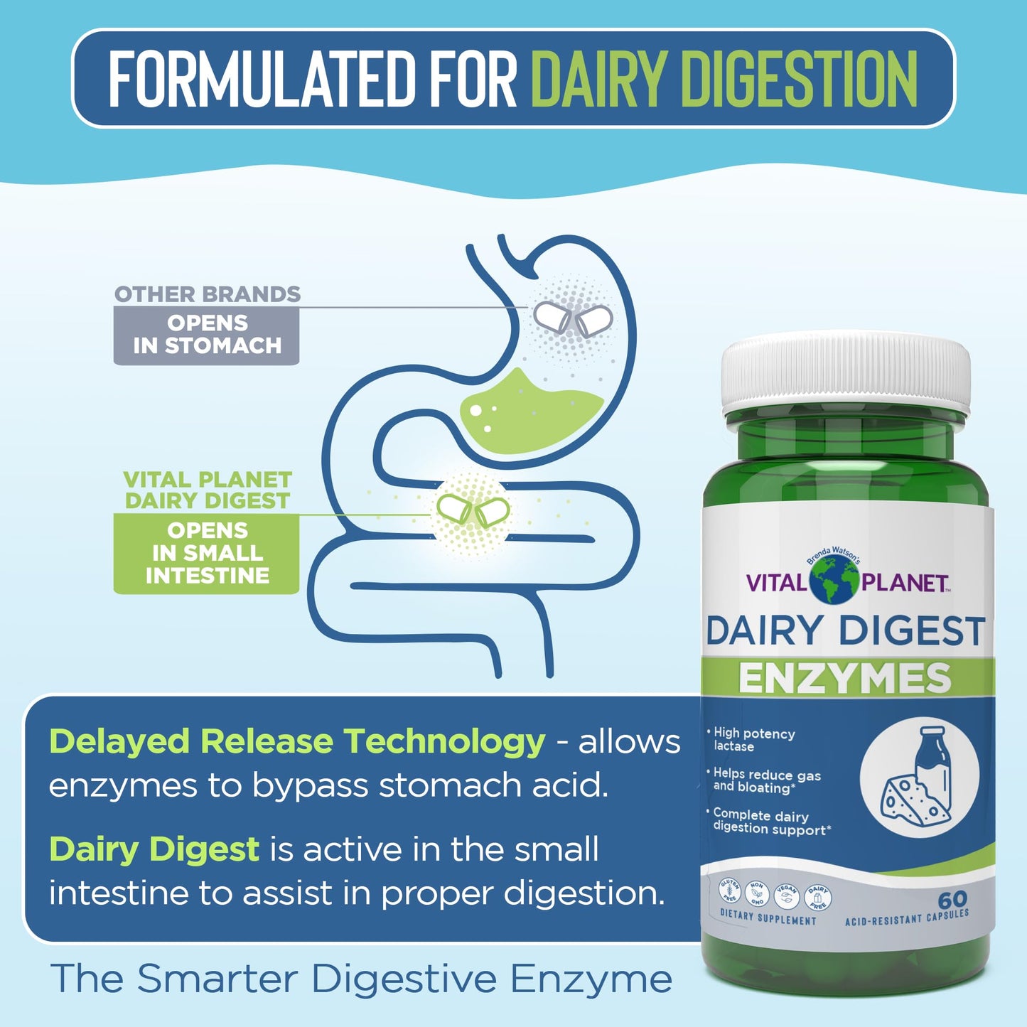 Vital Planet Digestive Enzymes Dairy Digest Support Natural Enzyme Formula Supports Breakdown of Dairy and Lactose, 60 Capsules