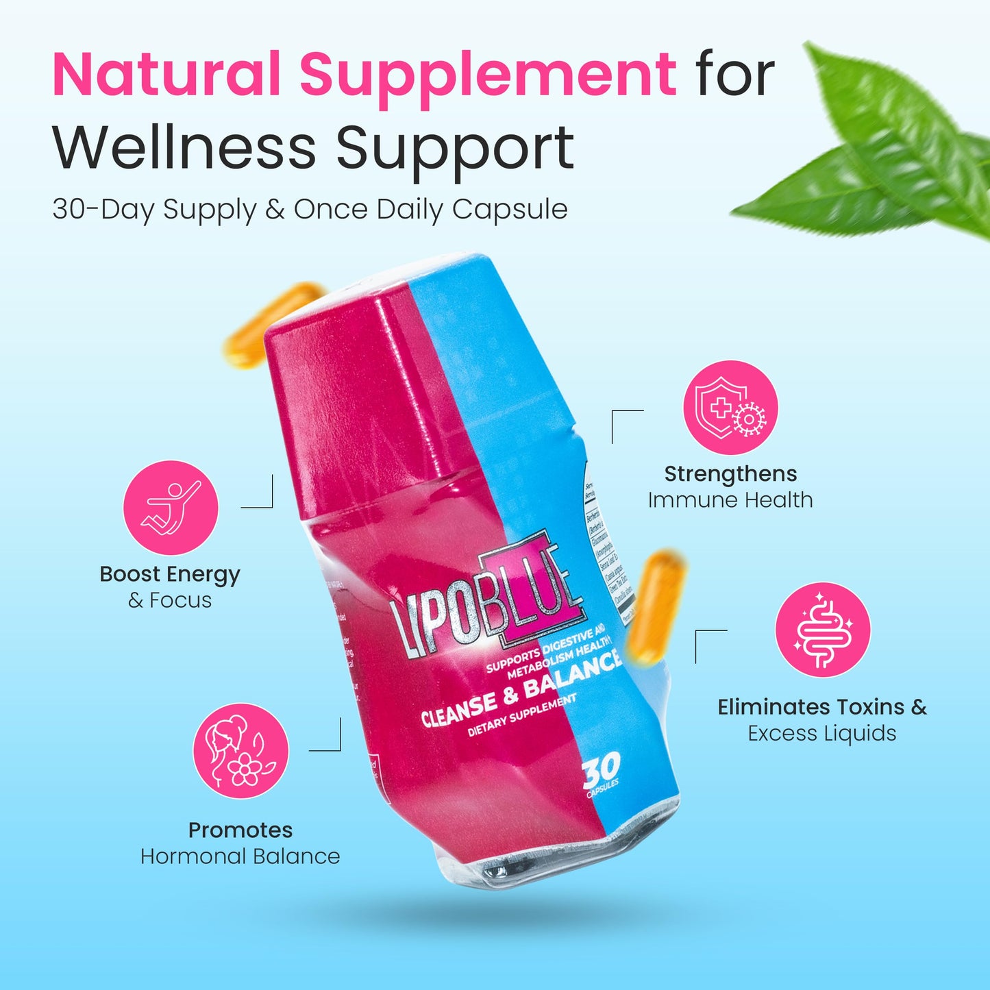 Generic Natural Supplement for Wellness Support Capsule 30 Count