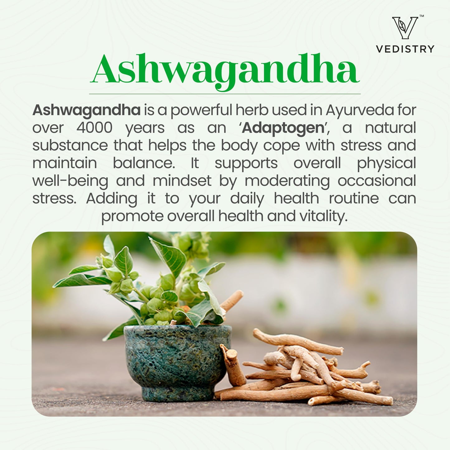 Vedistry Ashwagandha+ 1100mg with Long Pepper 60 Tablets