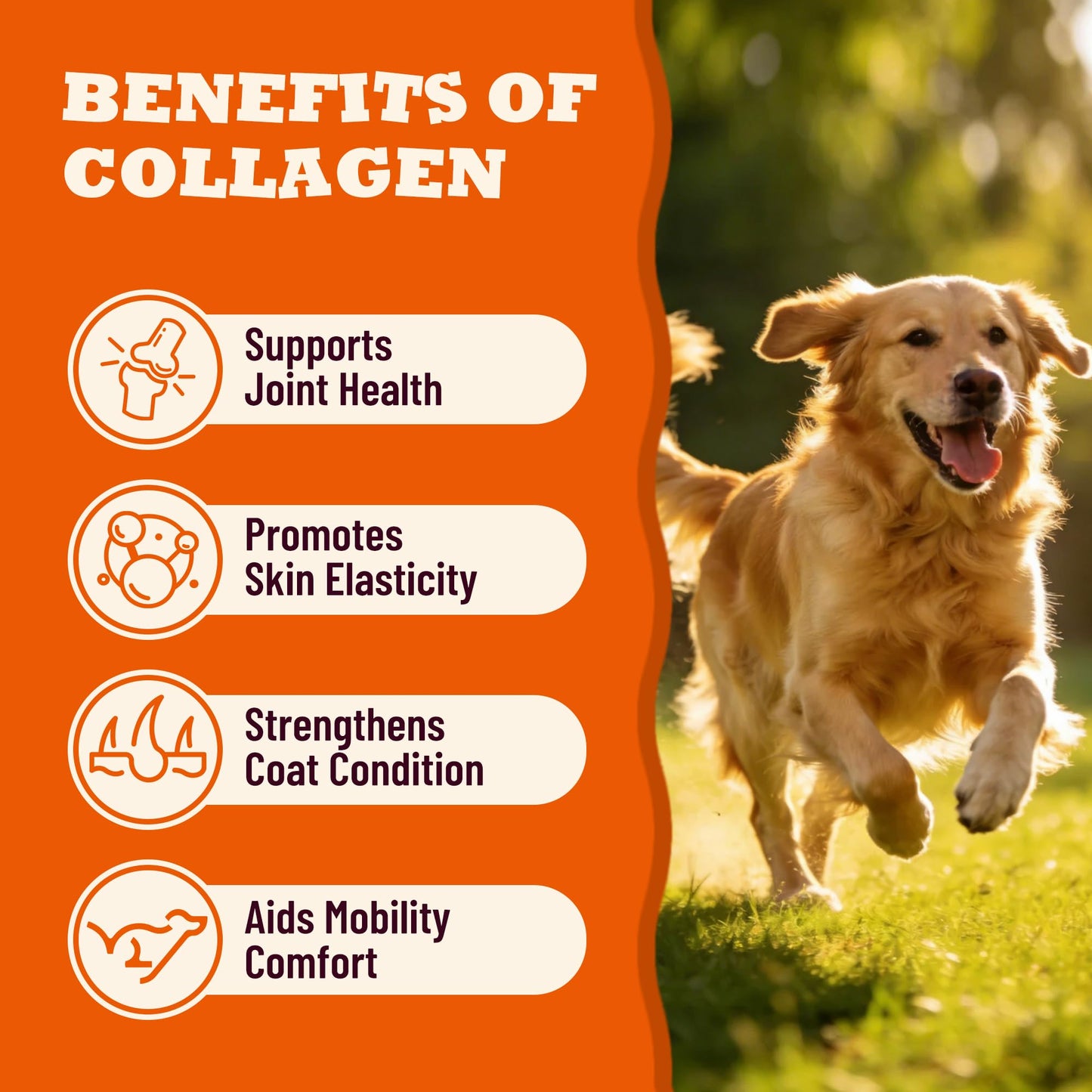 MULTIBITES 5X Collagen Powder for Dogs & Cats – Hip & Joint Supplement with MSM, Hyaluronic Acid & Marine Collagen, Chicken Flavor Food Topper, 110 Servings