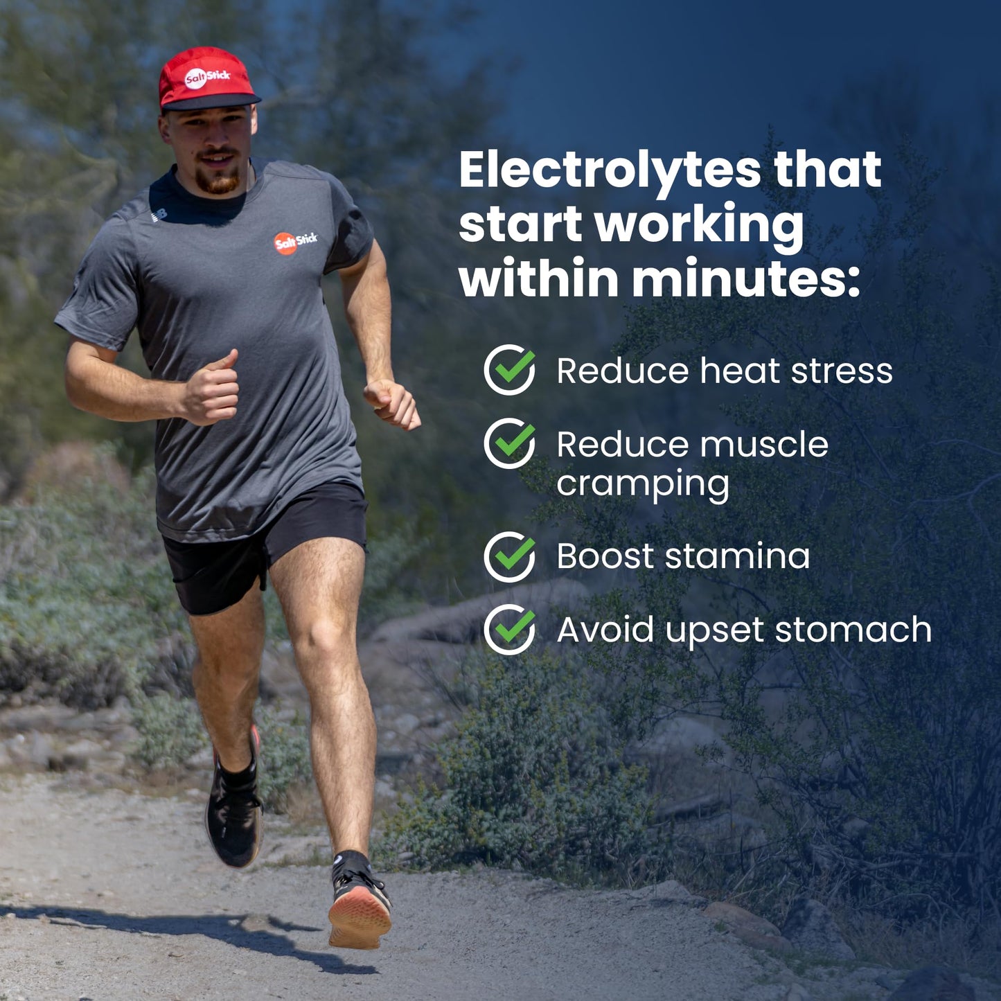 SaltStick Electrolyte FastChews Chewable Tablets, 60 Count