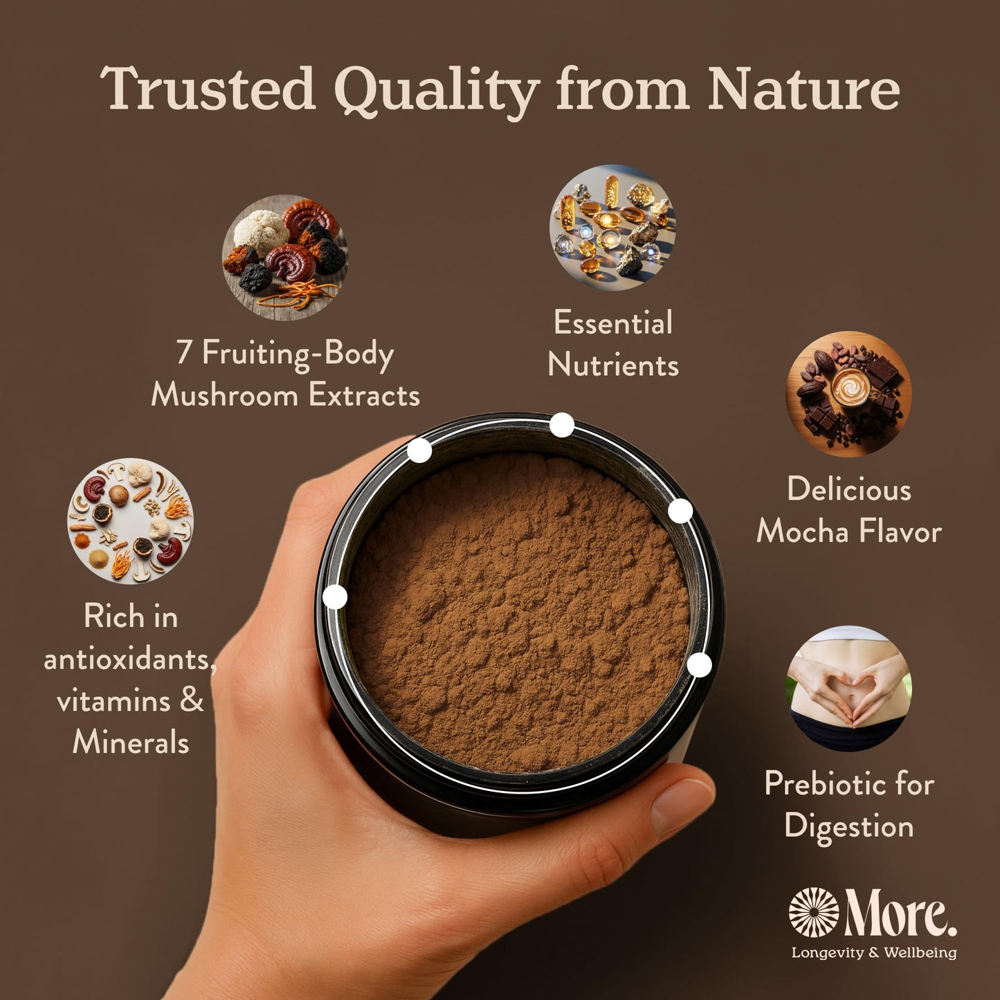 More. Longevity & Wellbeing Premium Mushroom Coffee Superfood - 7 Functional Mushroom Extracts with Lion’s Mane, Reishi, Chaga & Ashwagandha, Instant Coffee Alternative for Focus & Energy, Mocha Powder 8.46 Ounce