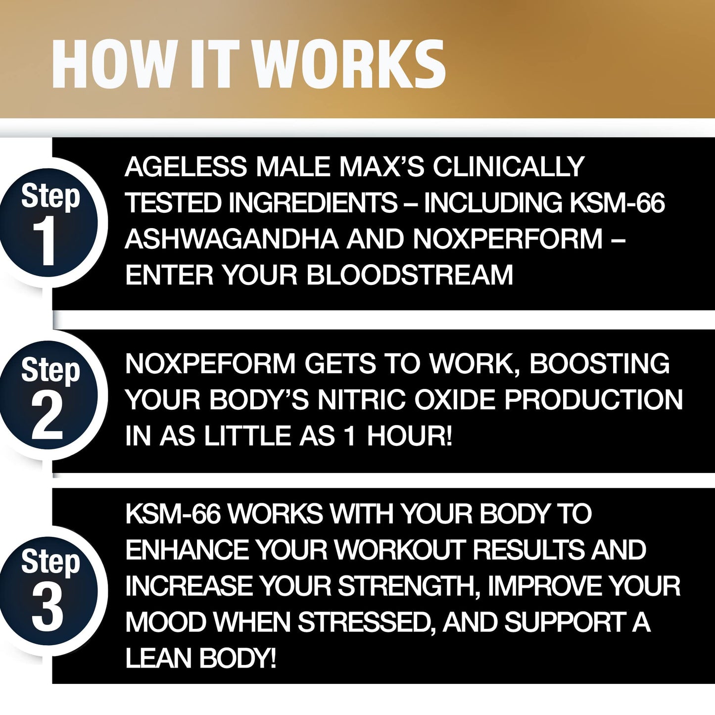 Ageless Male Nitric Oxide Booster Supplement Chewable 100 Count