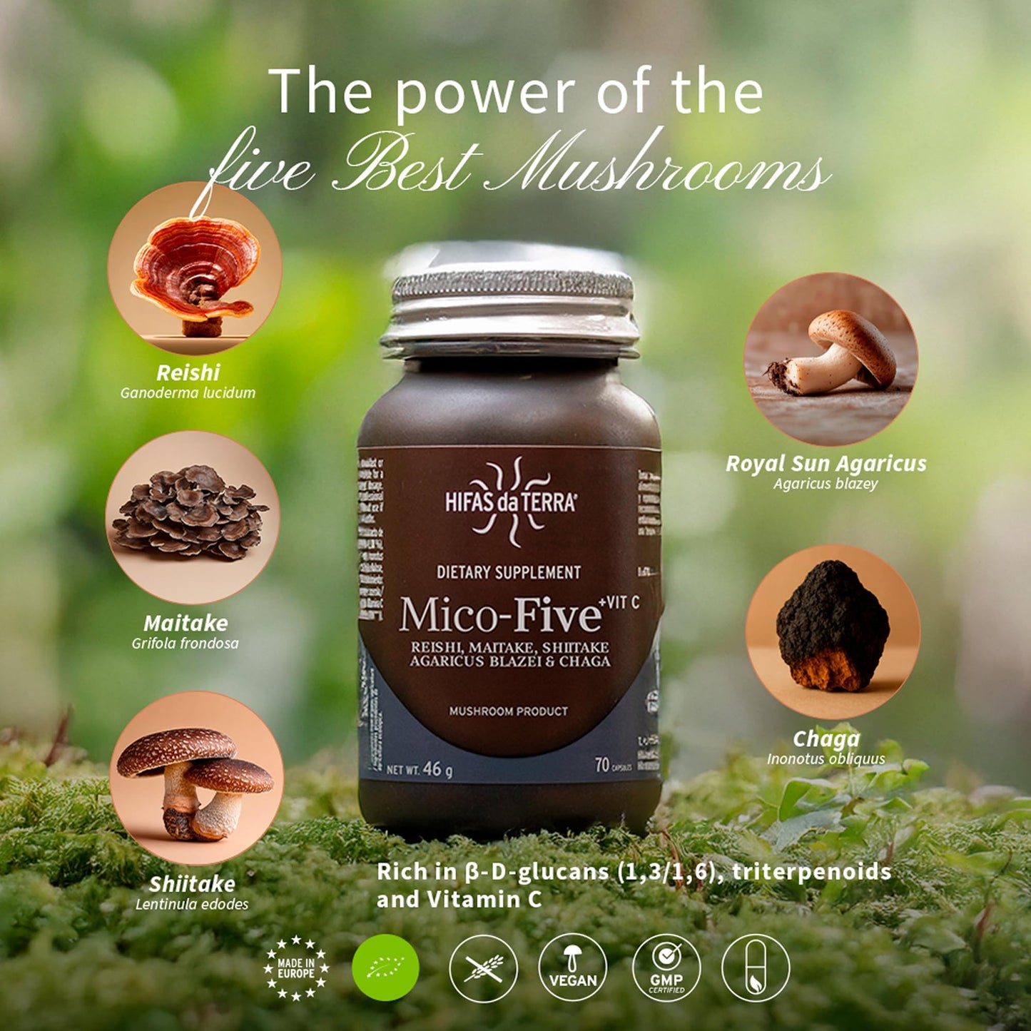 HIFAS DA TERRA Mico-Five Mushroom Complex 70 Capsules