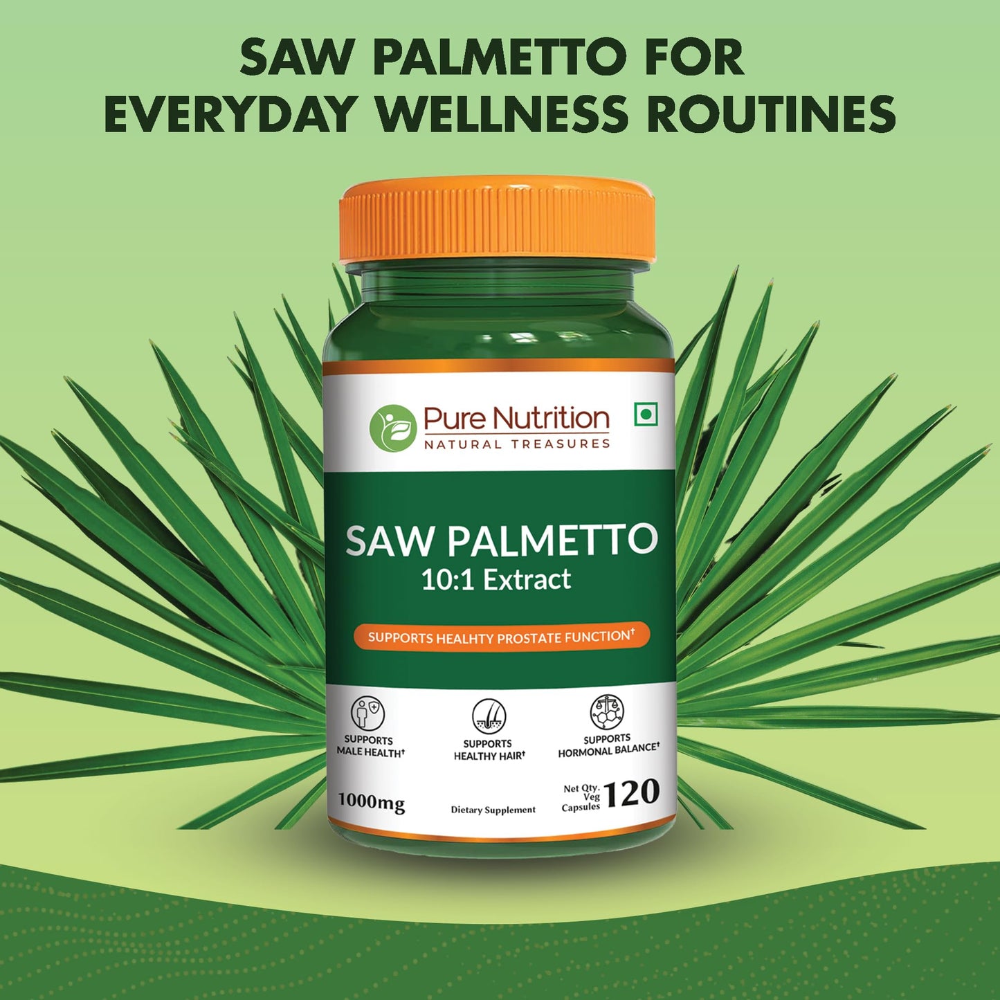 Pure Nutrition Natural Treasures Saw Palmetto 10:1 Extract Capsules 120 Count