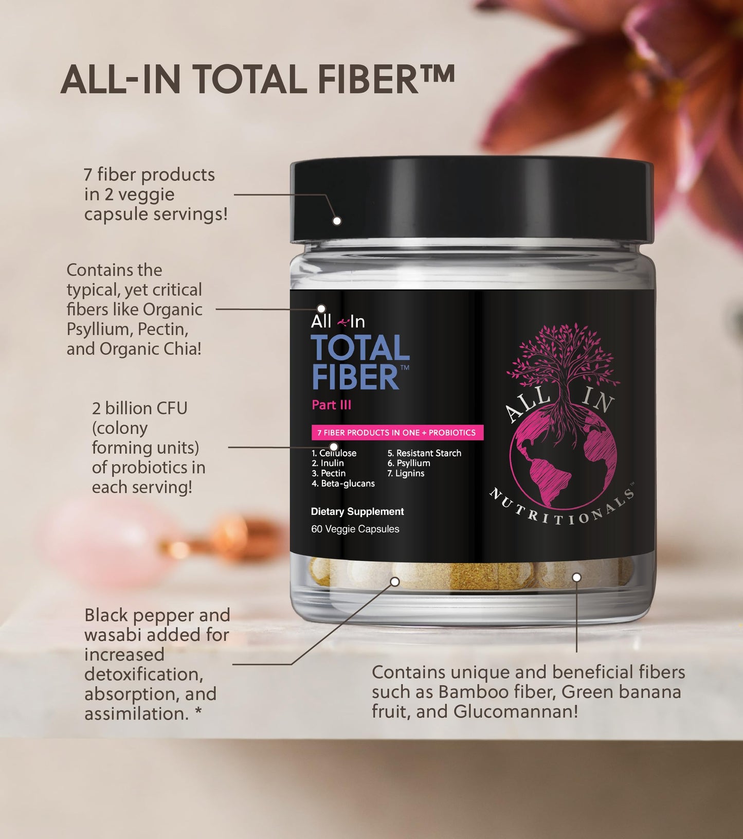 All In Nutritionals Total Fiber Capsule, 60 Count