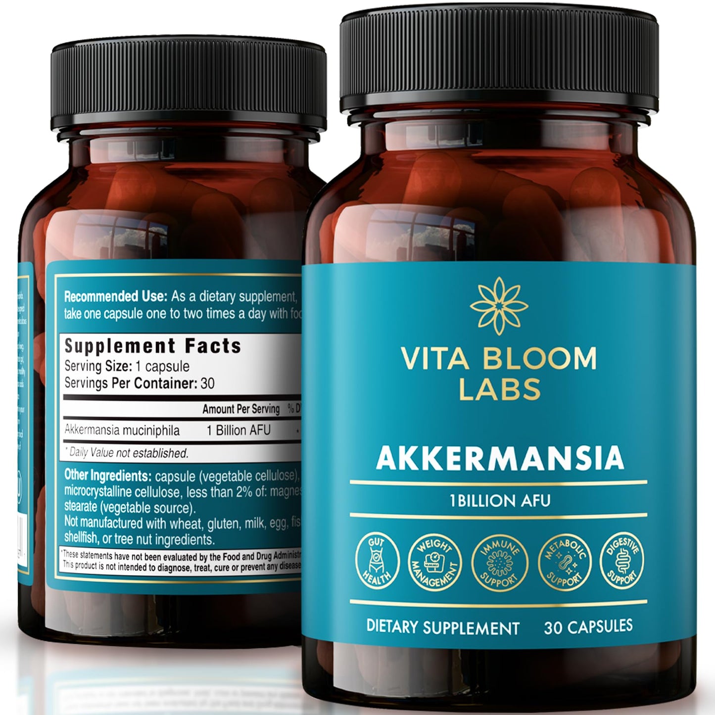 Vita Bloom Labs Akkermansia Probiotic Supplement Capsules 30 Count