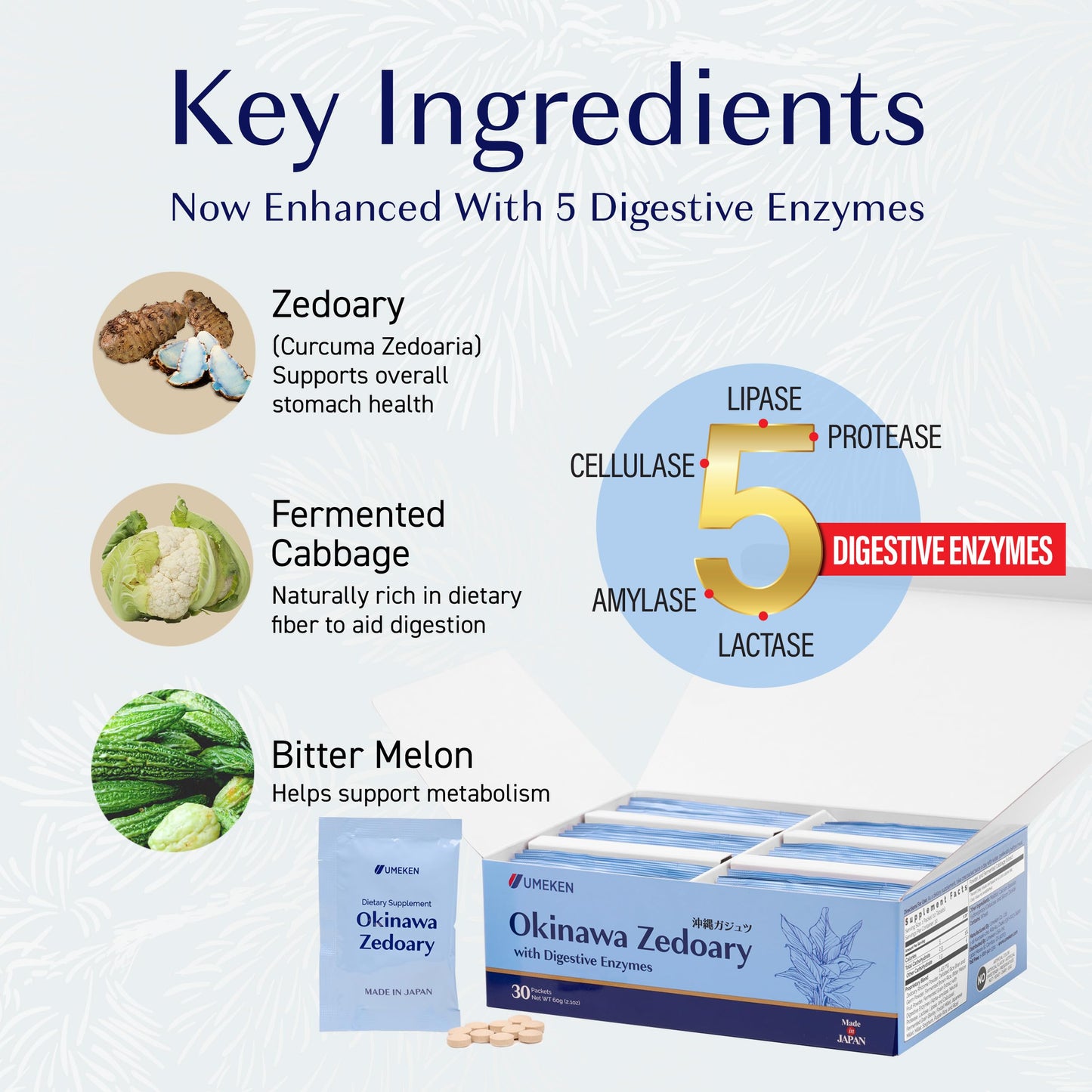 Umeken Okinawa Zedoary – Purple Turmeric with Fermented Cabbage Extract, Bitter Melon, and 5 Digestive Enzymes, Gut & Digestive Health Supplement, 30 Tablets