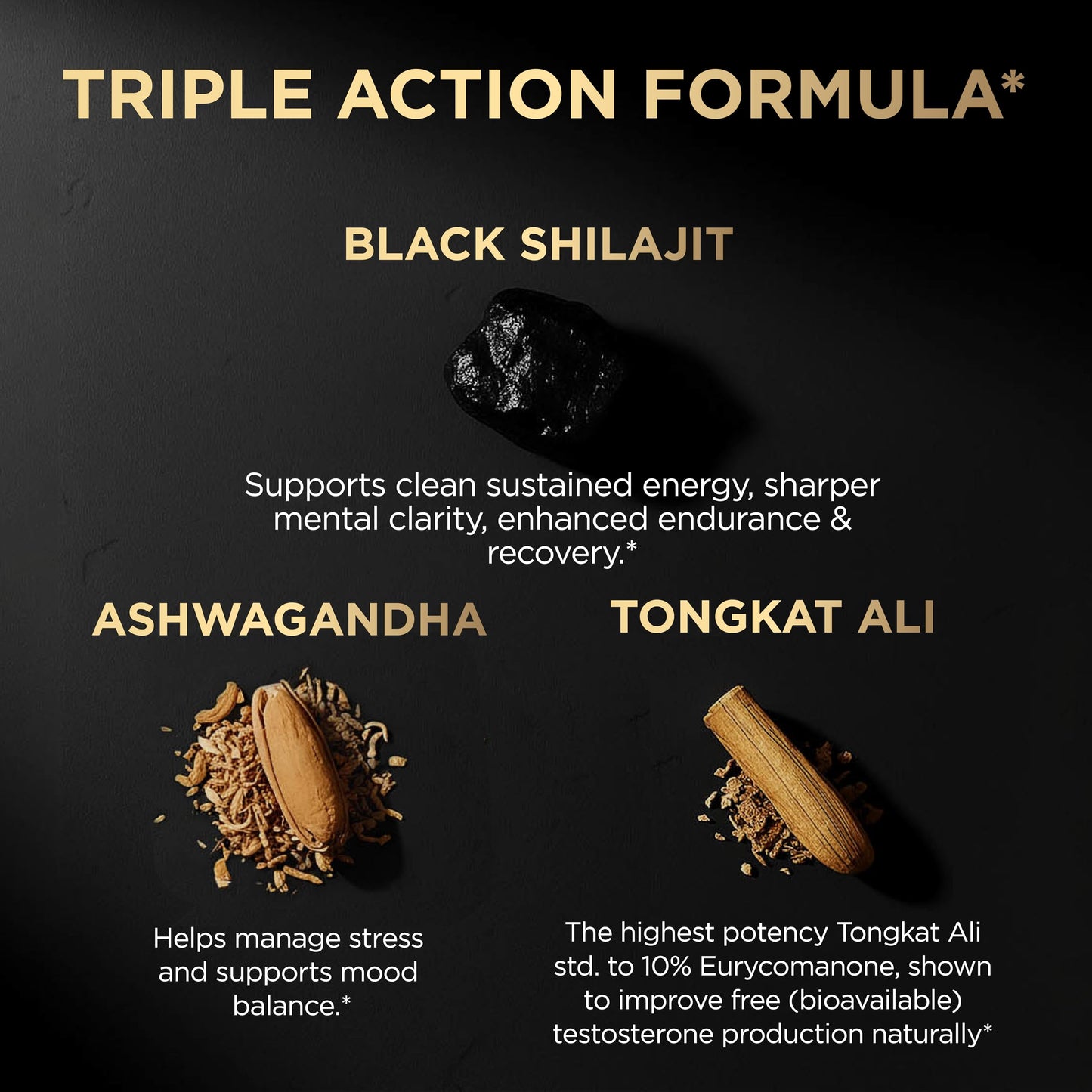 TERRA ELMNT 100x Strength Black Shilajit for Men with 10% Tongkat Ali & Ashwagandha, 60 Capsules
