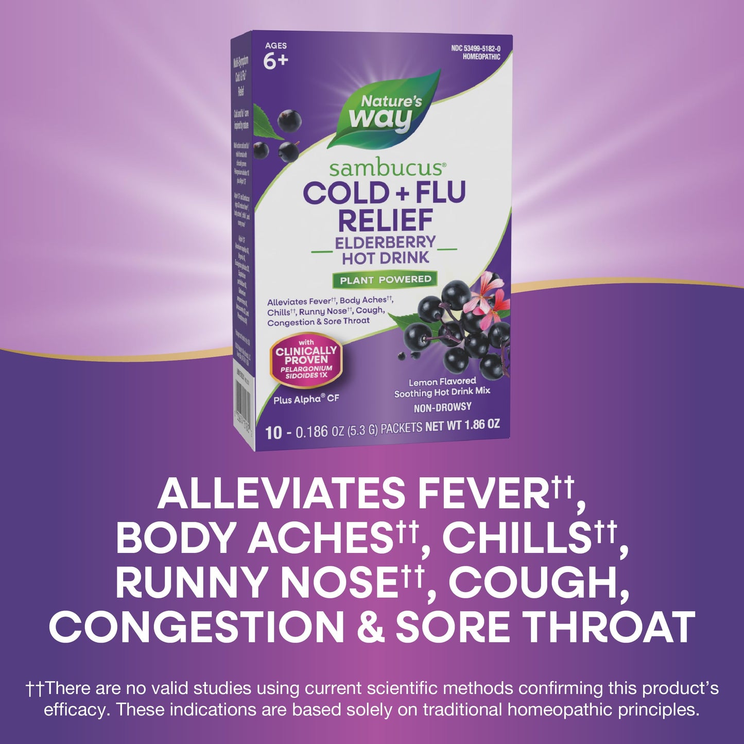 Nature's Way Sambucus Cold+Flu Relief Elderberry Powder, 0.18 Ounce