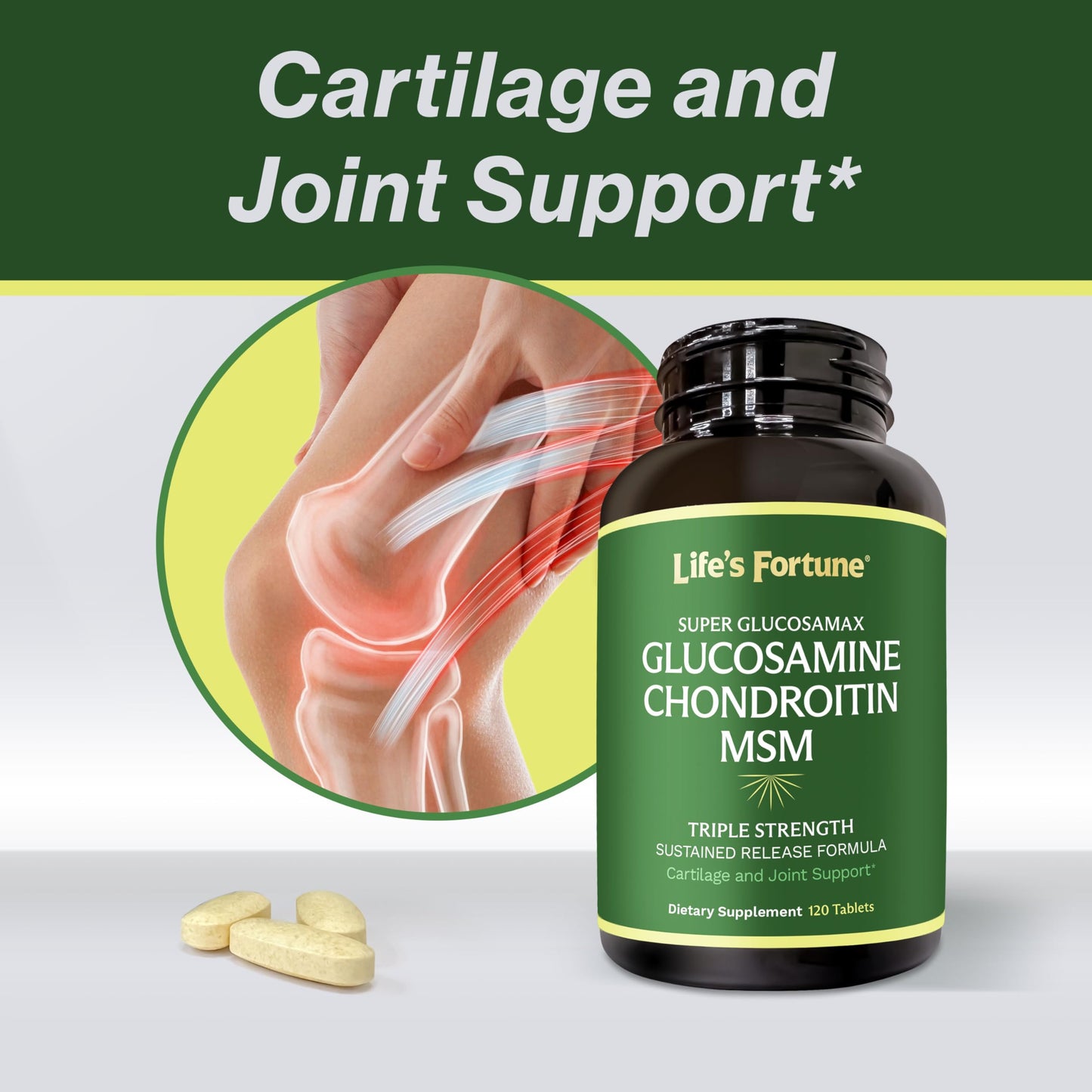 Life's Fortune Glucosamax Triple Strength Glucosamine, Chondroitin & MSM with Vitamin C Capsule, 120 Count