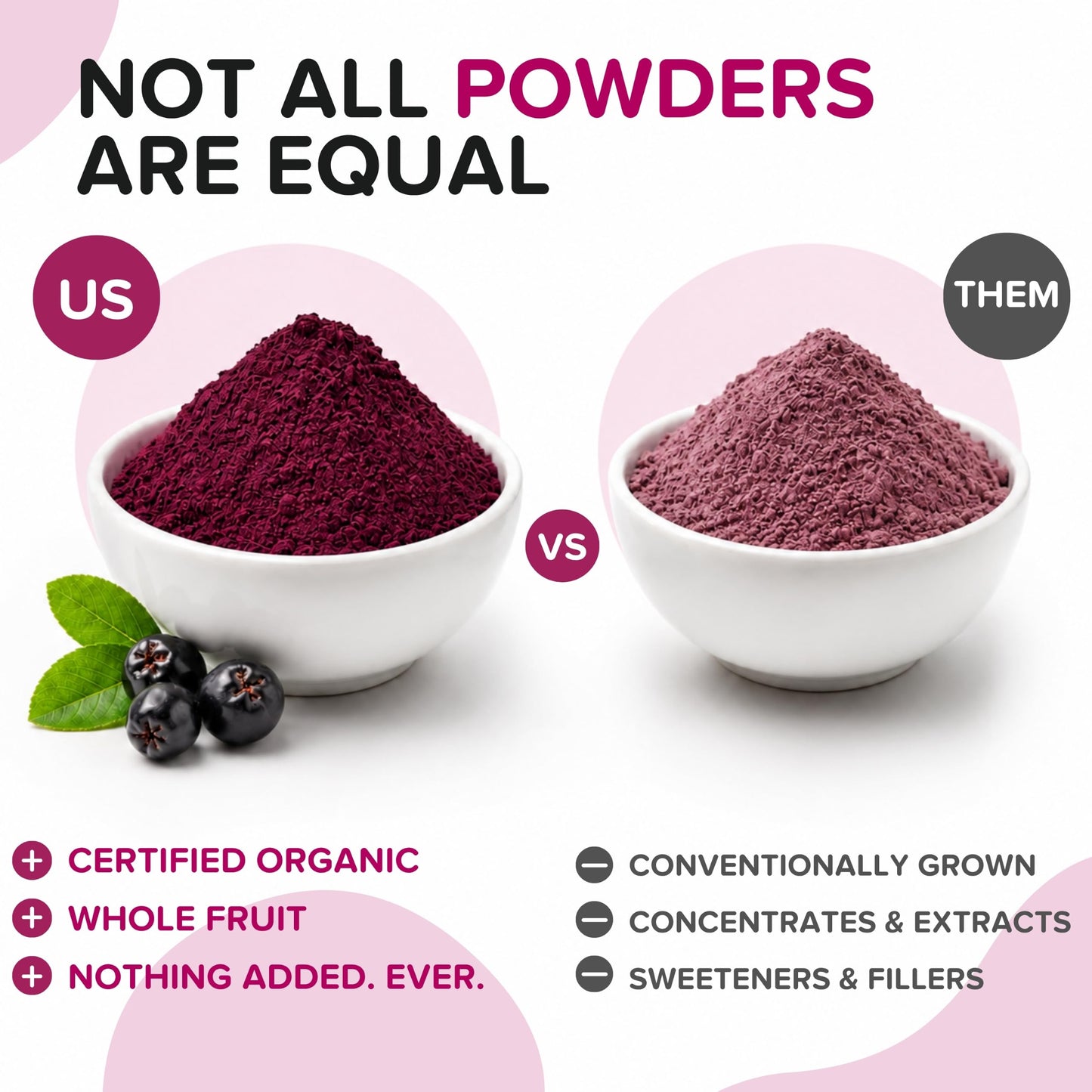 b Aronia Berry Powder, 16 Ounce