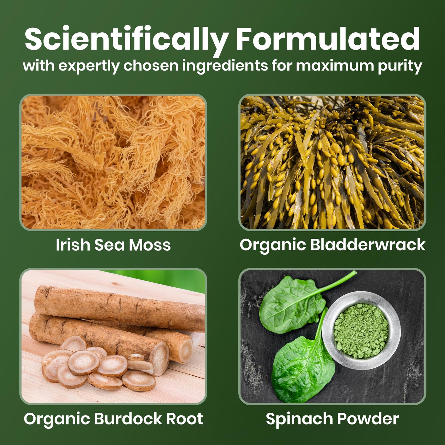 Cured Sea Moss Gummies Gummy 30 Count