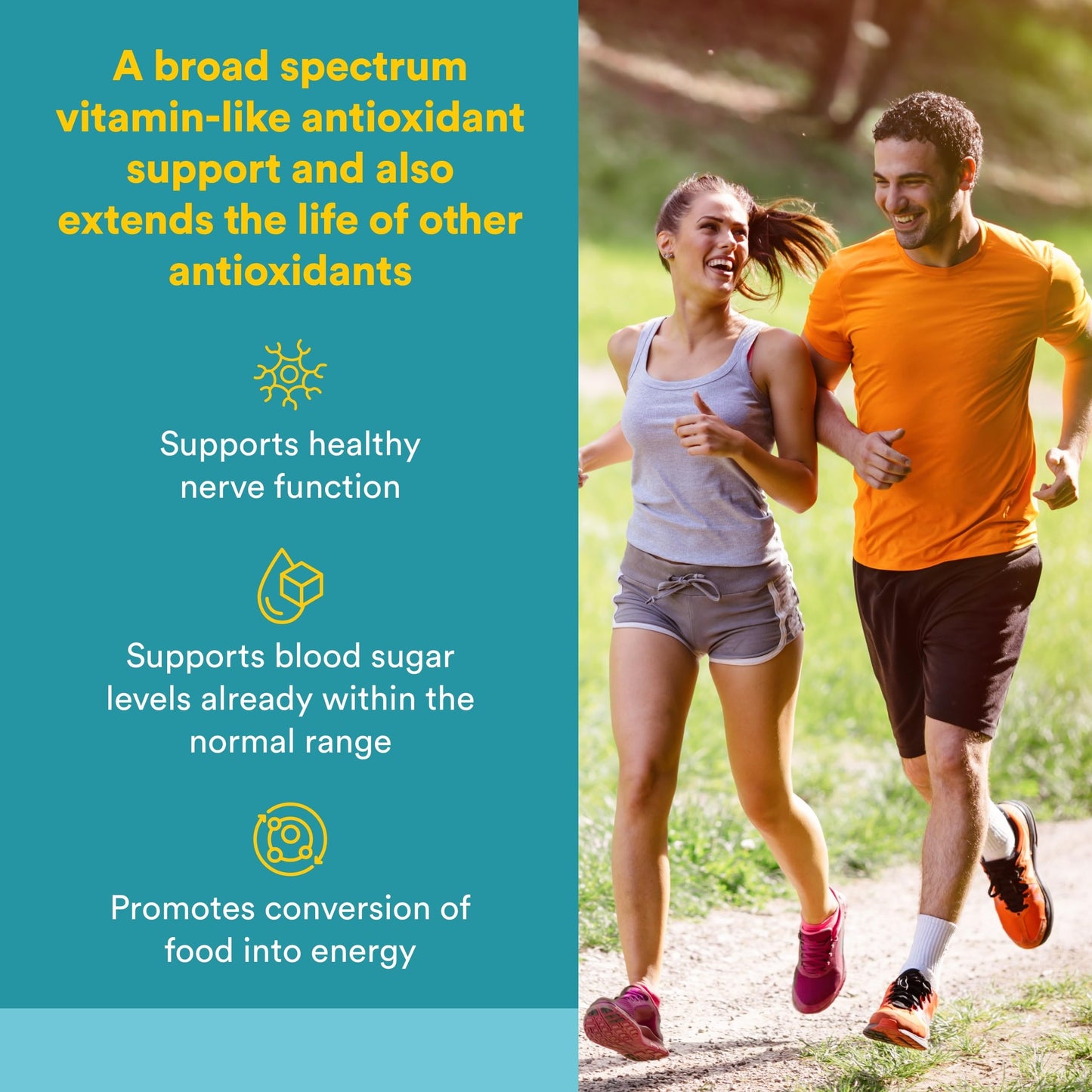 Natural Factors Alpha-lipoic Acid 100mg Capsules, 60 Capsules