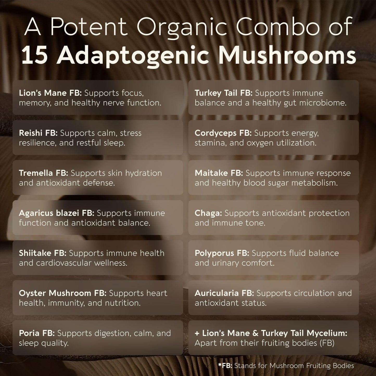Longevity Botanicals Power 15 Mushroom Blend Powder 3.53 Ounce