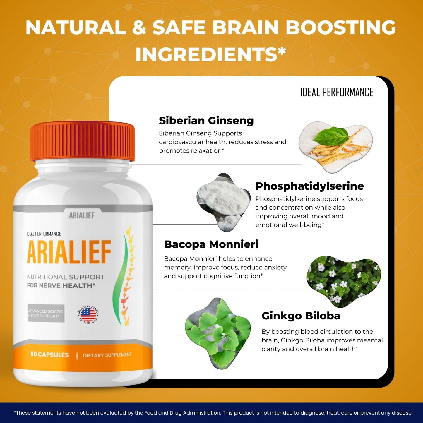 IDEAL PERFORMANCE Arialief Brain Supplements for Memory and Focus Capsules 60 Capsules