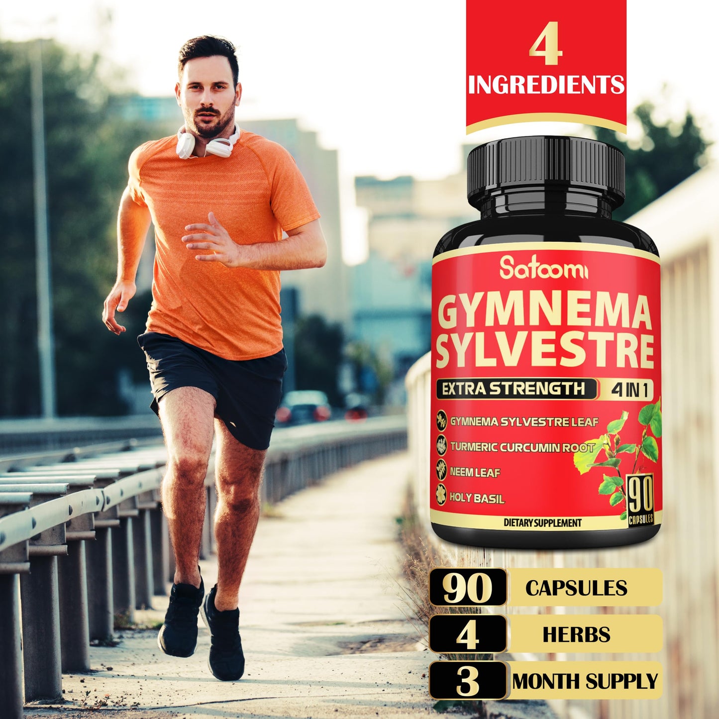 Satoomi Gymnema Sylvestre Capsules Extract, 90 Capsules
