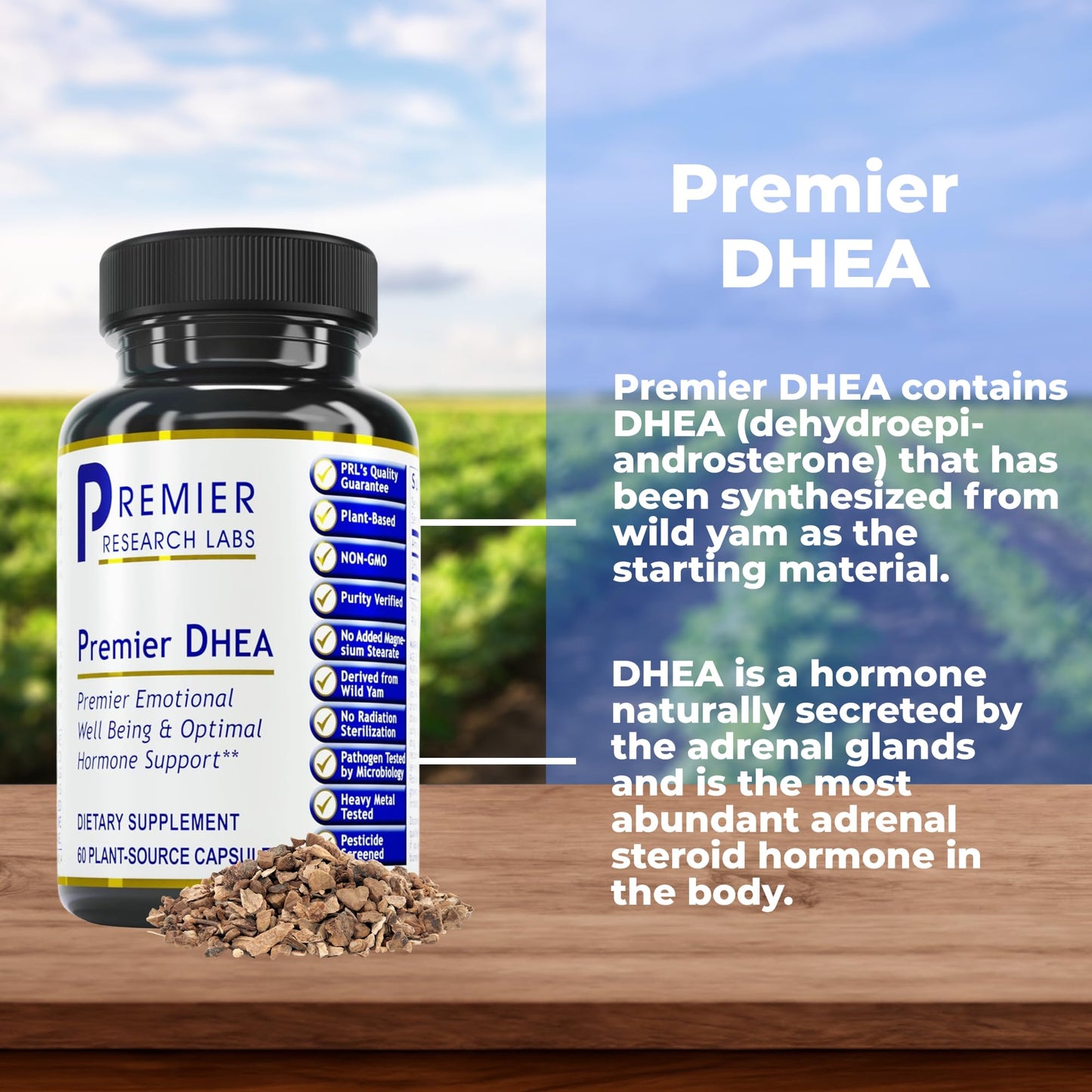 Premier Research Labs Premier DHEA 60 Capsules