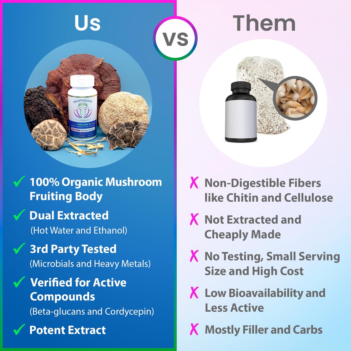 ENCAPSULATE 6 Mushroom Blend Reishi Chaga Turkey Tail Cordyceps Lion’s Mane Shiitake 8:1 Mushroom Extract Nootropic & Adaptogen Mushroom Capsules 120 Count
