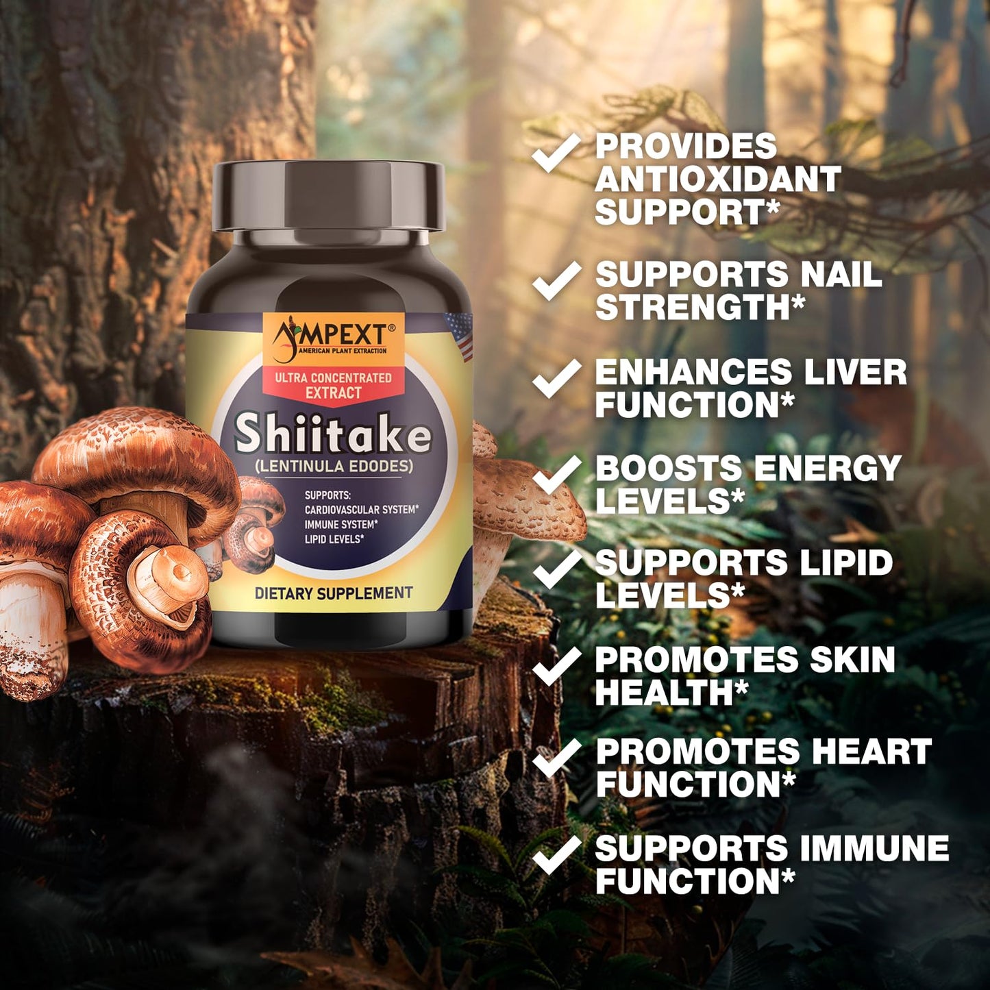AMPEXT Shiitake Mushroom Extract Capsule, 90 Veg Caps