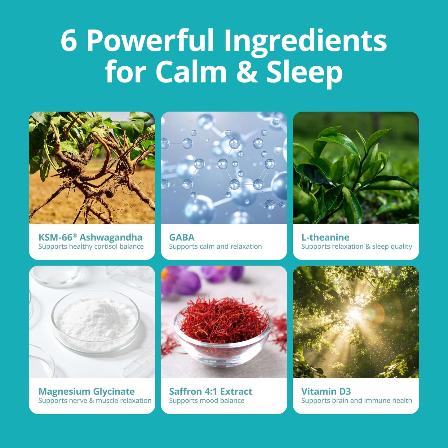 VIVI Youth Cortisol Supplement with KSM-66® Ashwagandha & L-Theanine - Advanced Formula with GABA, Saffron, Magnesium Glycinate & Vitamin D3 for Calm Focus, Mood Balance, 60 Capsules