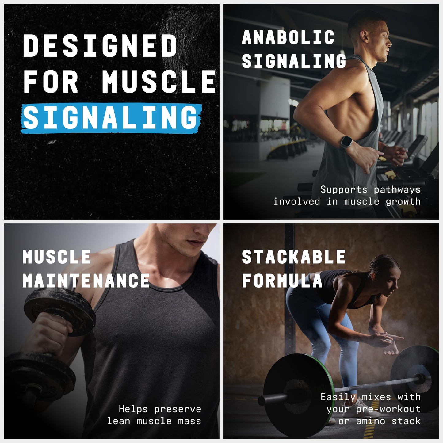 BEYOND RAW L-Leucine Powder 3.23