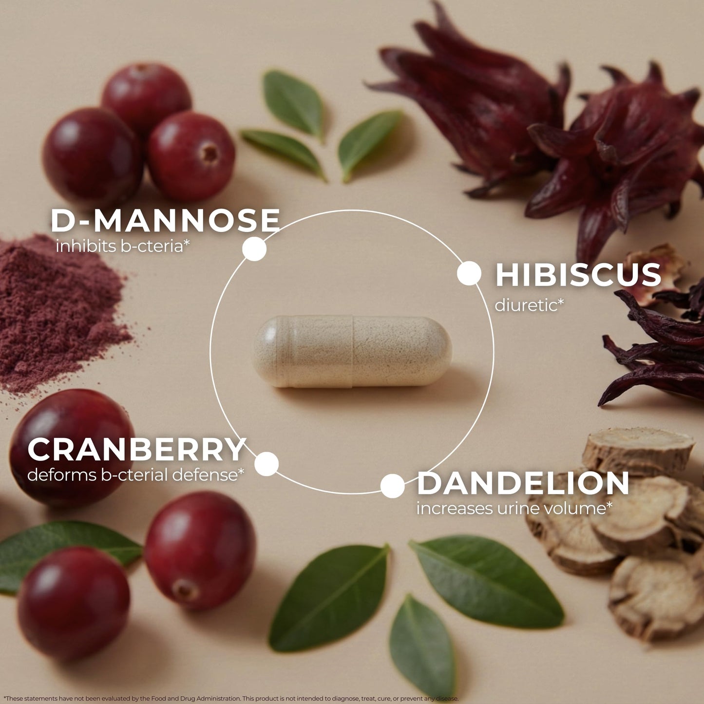 TODICAMP D-Mannose with Cranberry 1000mg Capsules for Urinary Tract Health, Hibiscus & Dandelion Root, 60 Capsules