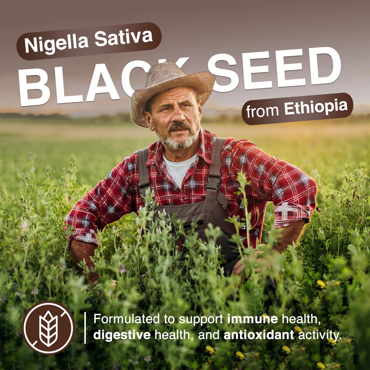 Resilia Oil Of Oregano Ethiopian Black Seed Oil Capsules 1000mg Per Serving, Digestive & Immune Support, 120 Capsules