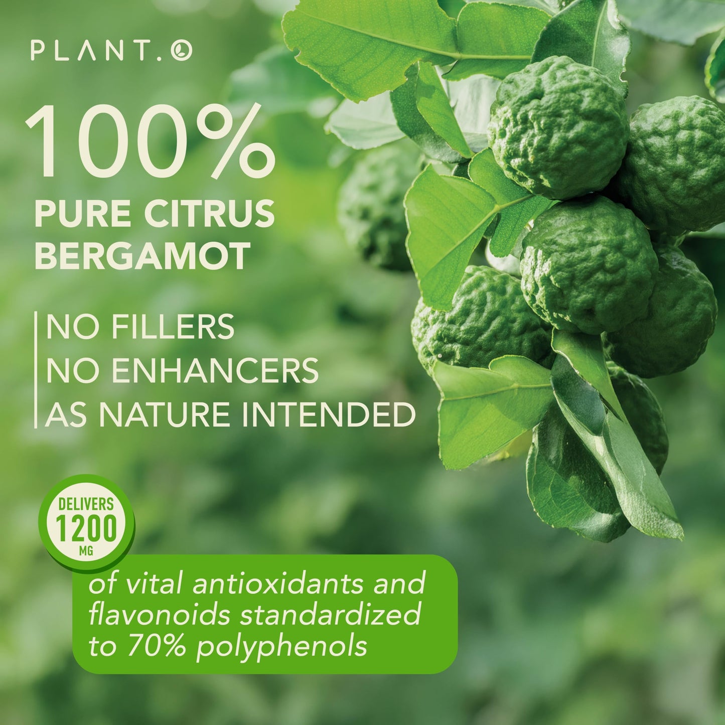 PLANT.O NUTRITION Citrus Bergamot Supplement Capsule 60
