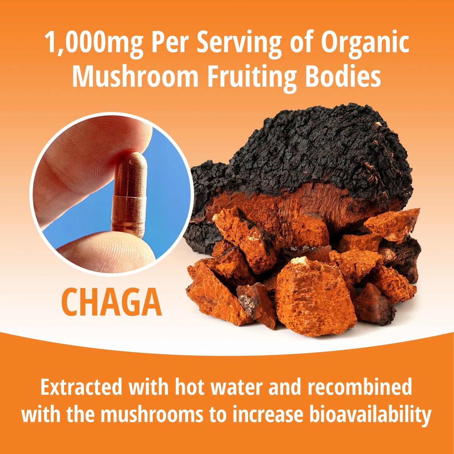 ENCAPSULATE Chaga Capsules 1000mg – Premium Organic Fruiting Body 1:1 Mushroom Extract – Adaptogen Mushroom Supplement for Antioxidant, Digestive, Oxidative Stress & Immune Support – Vegan – 60 Capsules