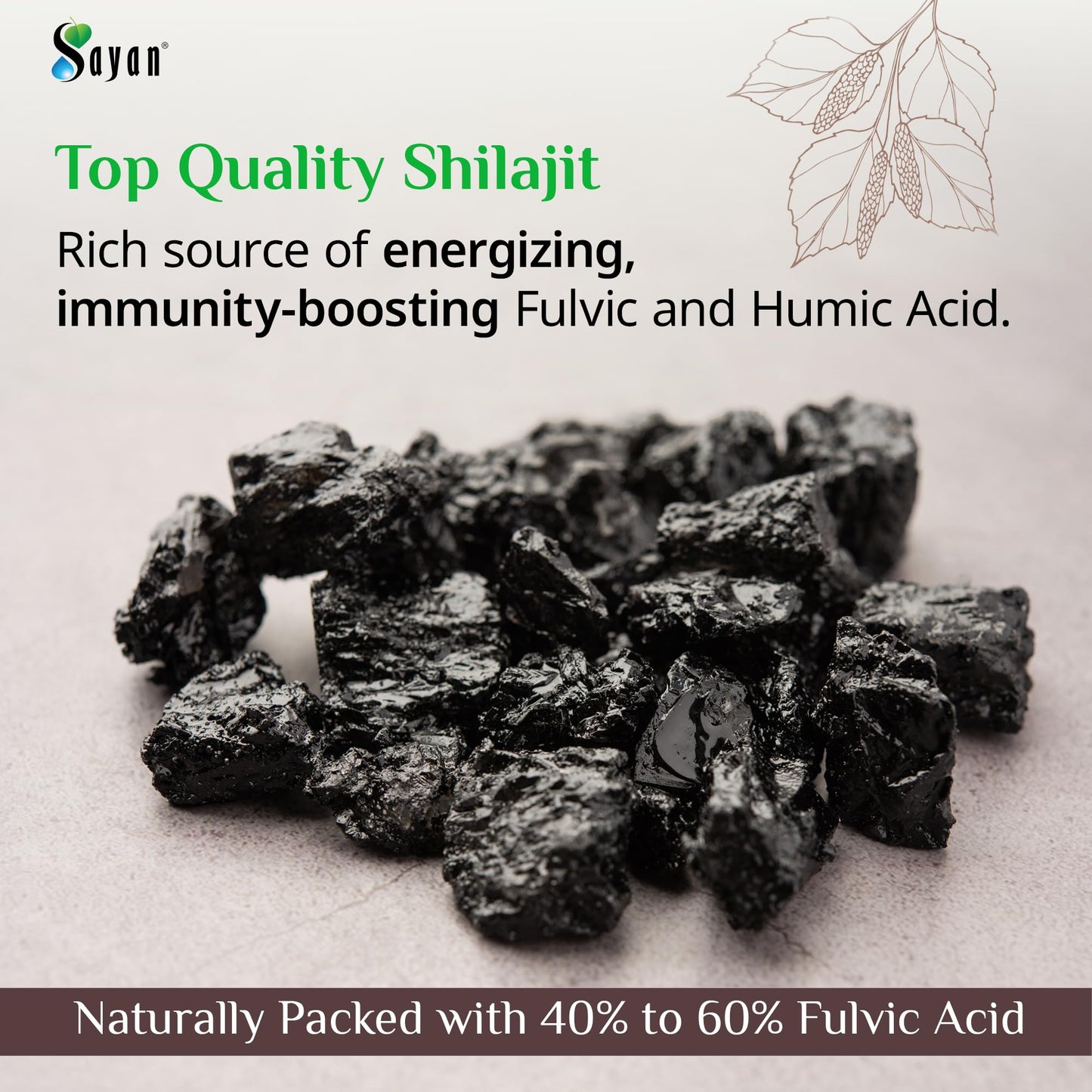 Sayan Shilajit Capsules 90 Count